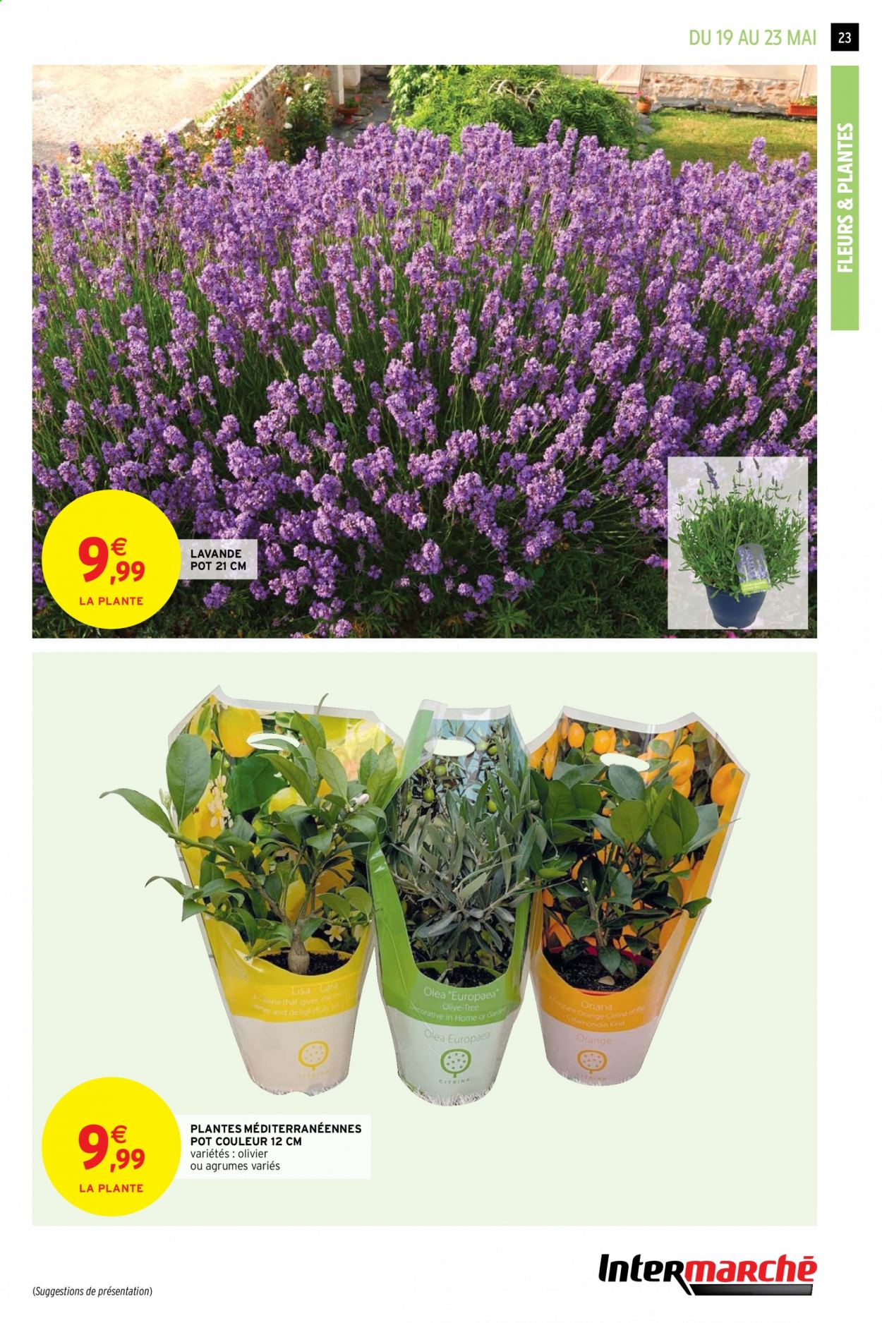 Catalogue Intermarché Super - 18/05/2021 - 23/05/2021. Page 23