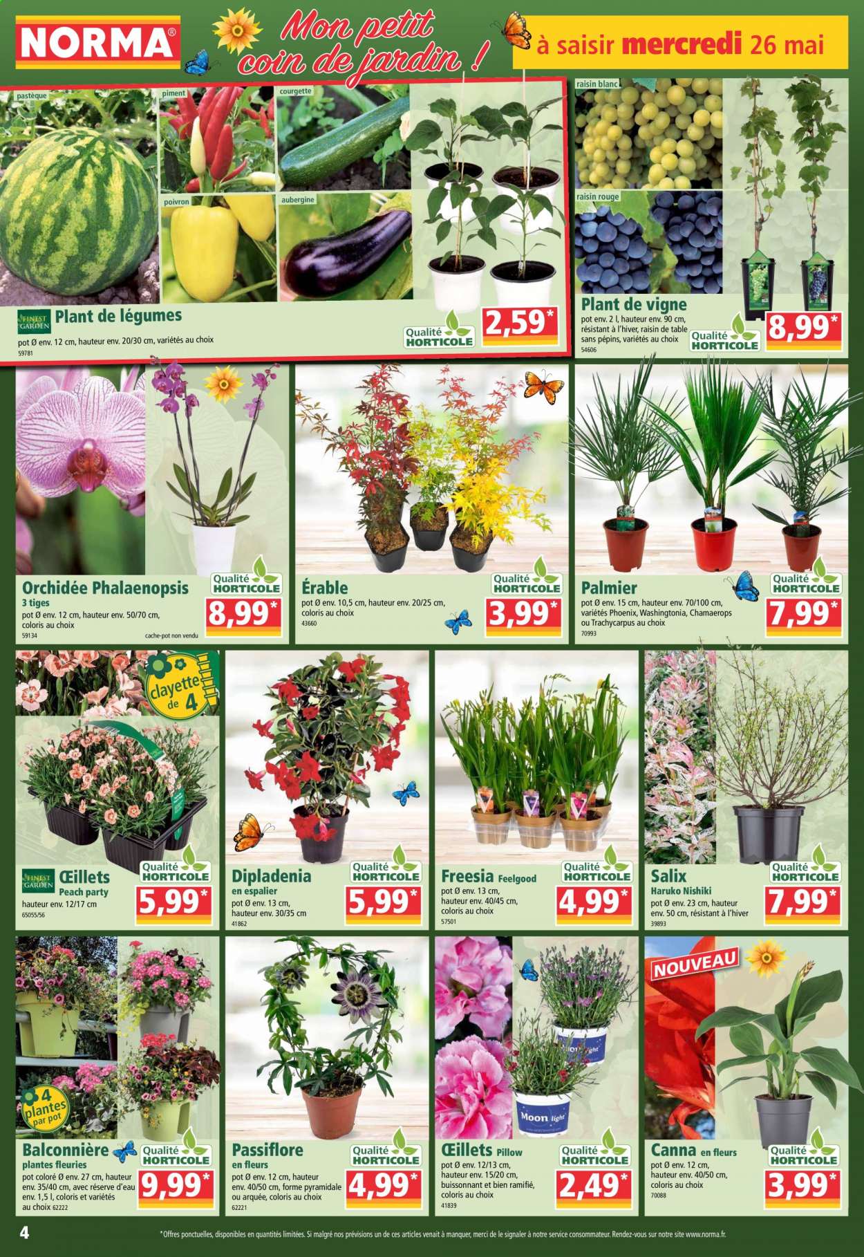 Catalogue Norma - 26/05/2021 - 01/06/2021. Page 4