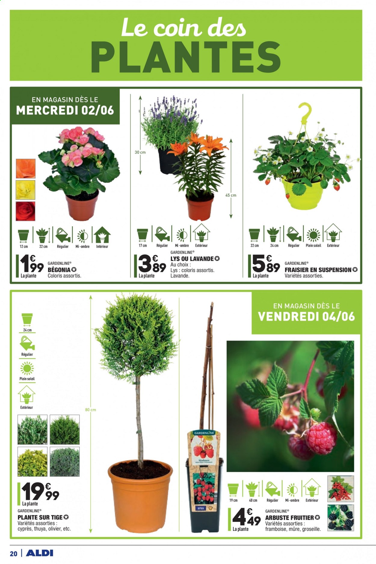 Catalogue ALDI - 01/06/2021 - 07/06/2021. Page 22