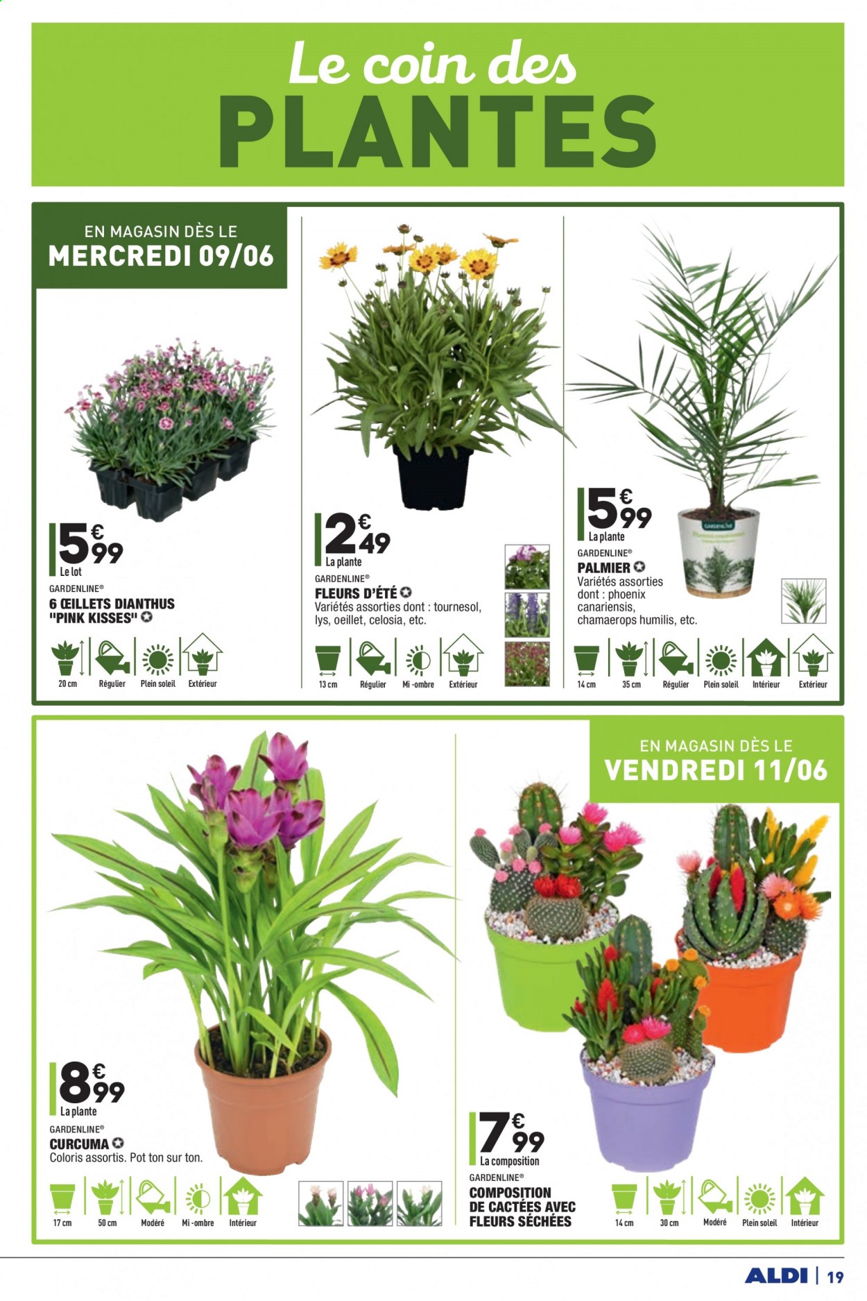 Catalogue ALDI - 08/06/2021 - 14/06/2021. Page 21