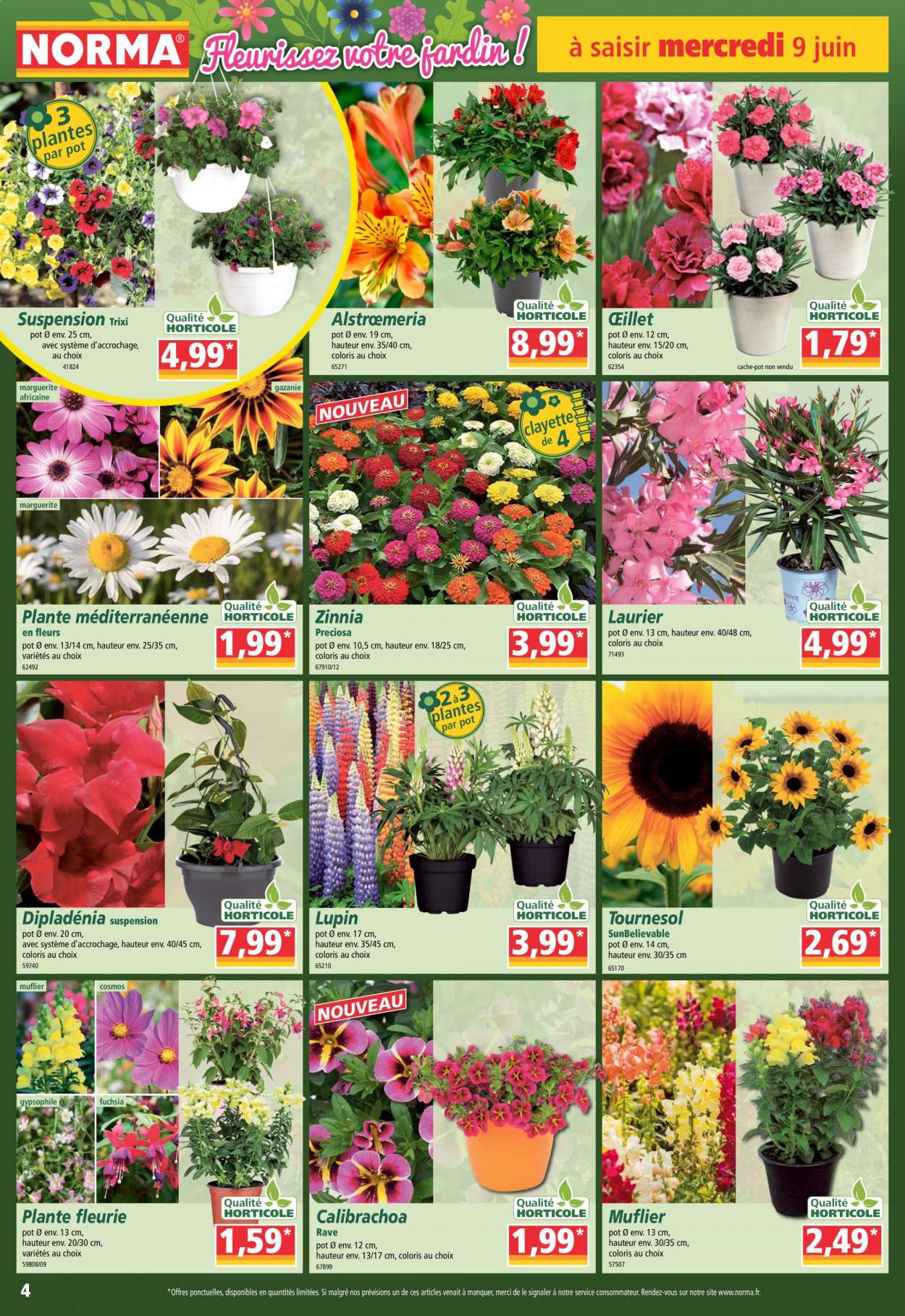 Catalogue Norma - 09/06/2021 - 17/06/2021. Page 4