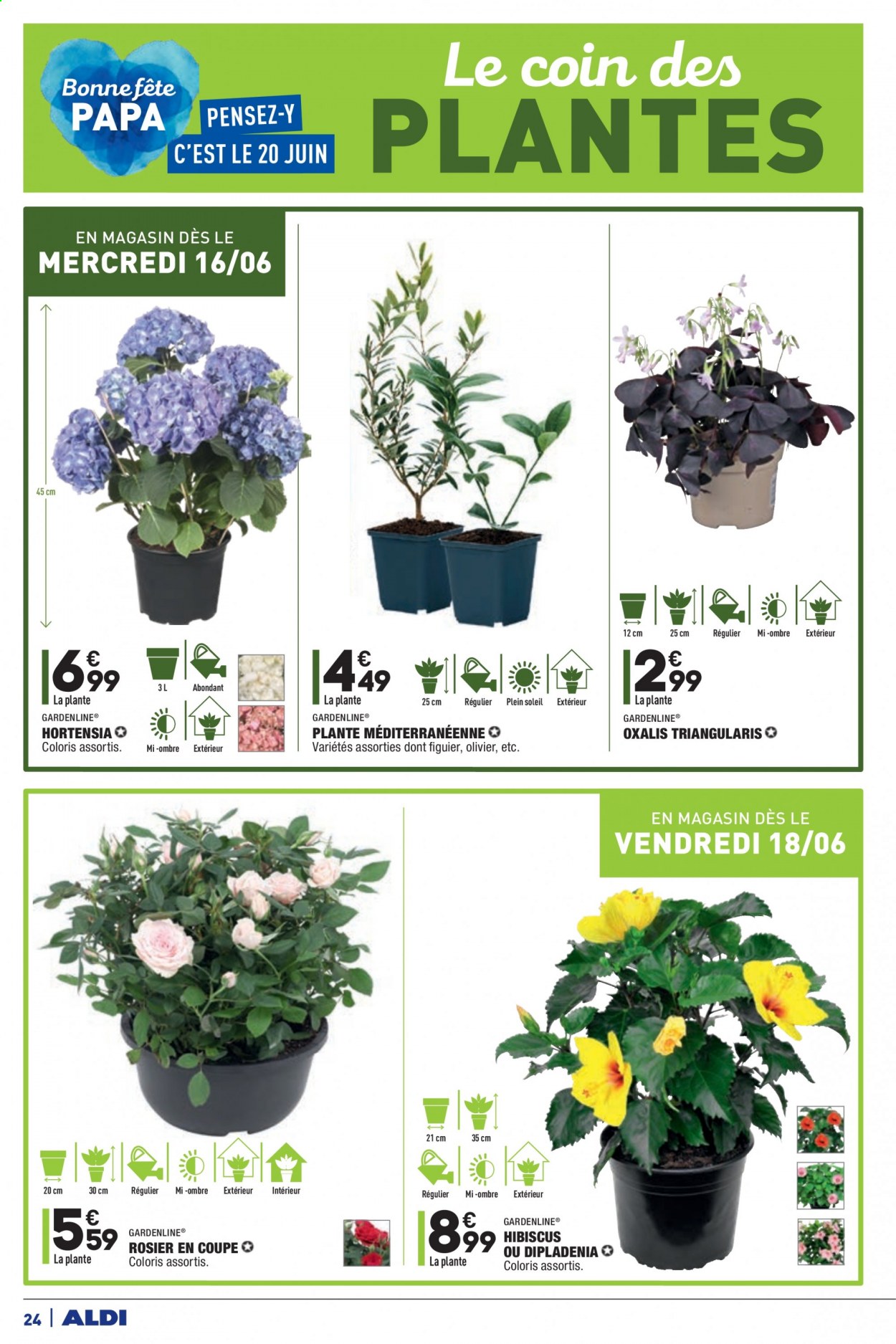 Catalogue ALDI - 15/06/2021 - 21/06/2021. Page 26