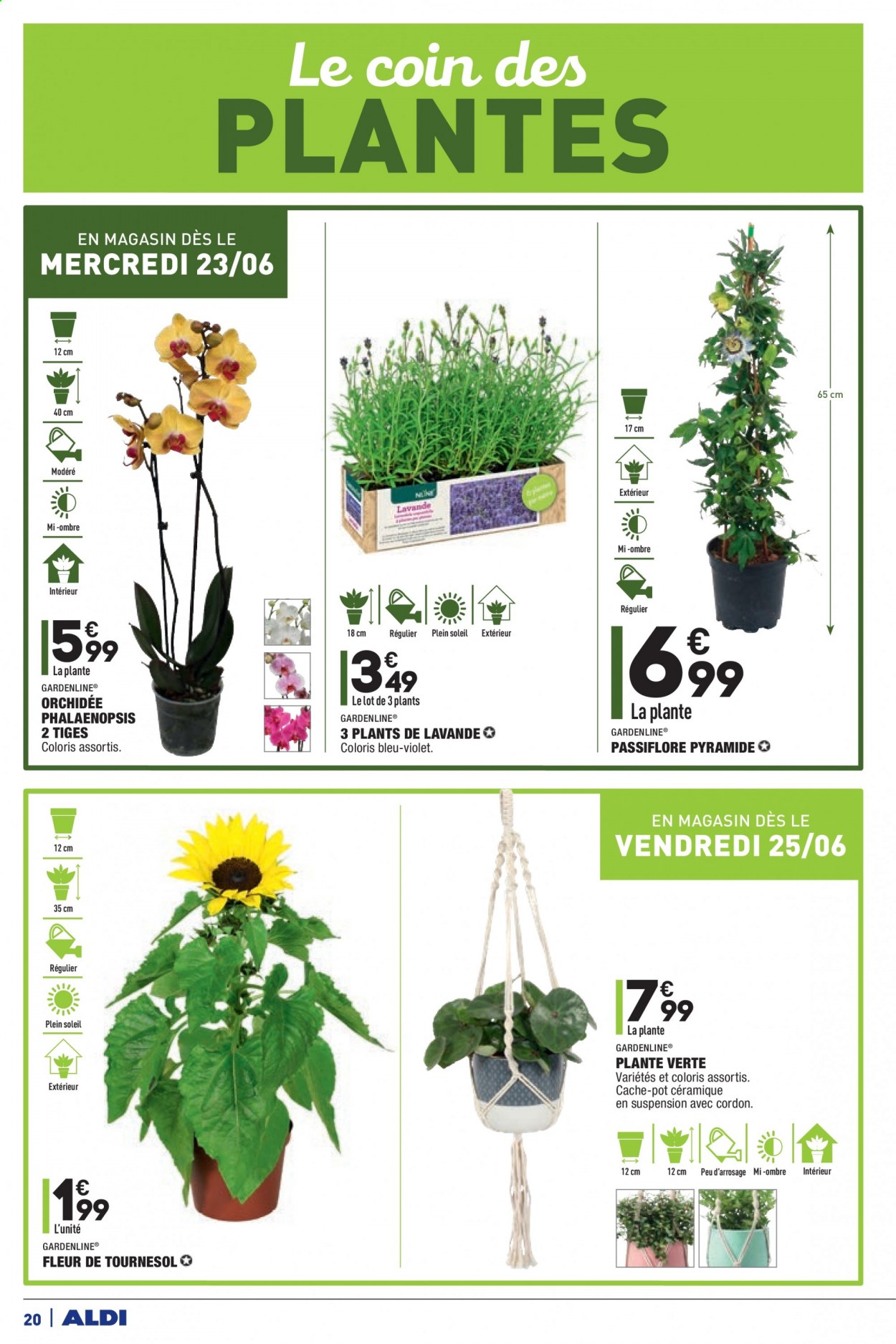 Catalogue ALDI - 22/06/2021 - 28/06/2021. Page 22