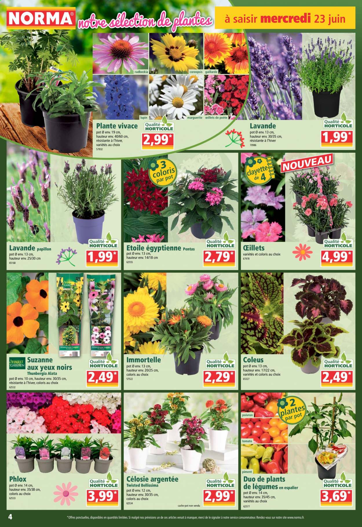 Catalogue Norma - 23/06/2021 - 01/07/2021. Page 4