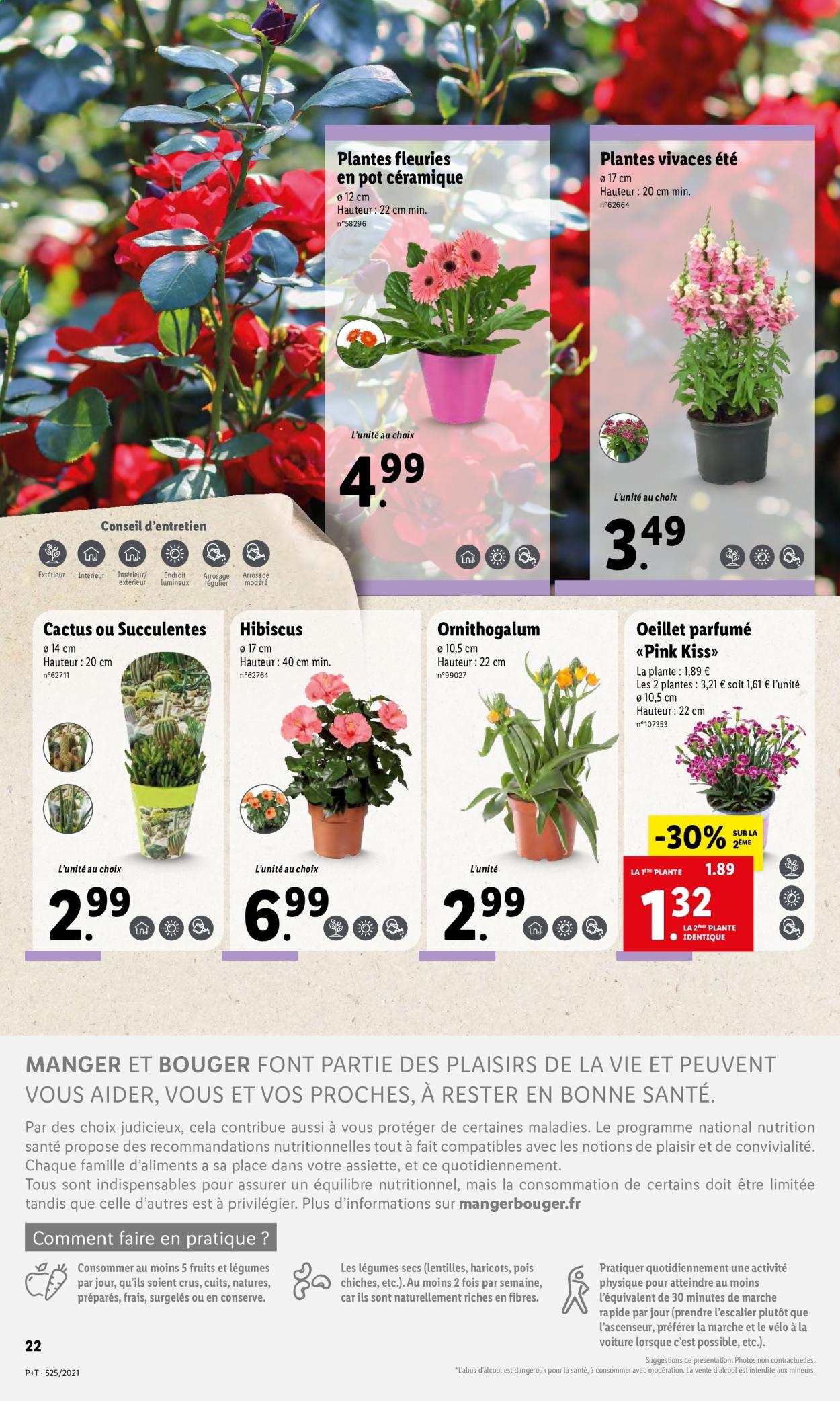 Catalogue Lidl - 23/06/2021 - 29/06/2021. Page 26