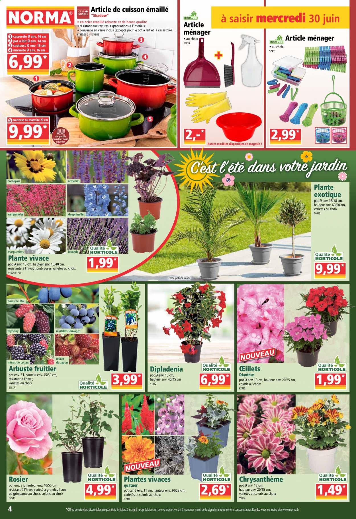 Catalogue Norma - 30/06/2021 - 08/07/2021. Page 4