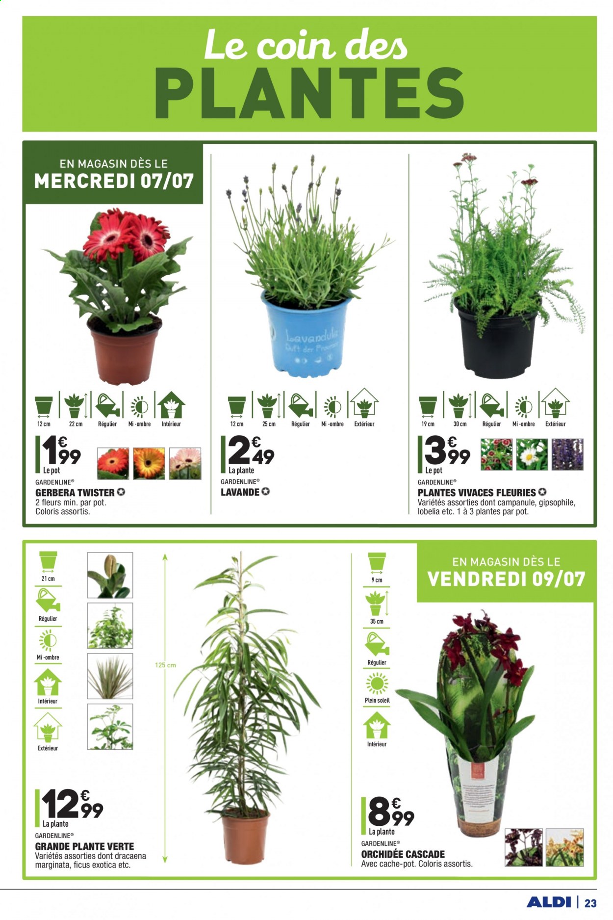 Catalogue ALDI - 06/07/2021 - 12/07/2021. Page 25