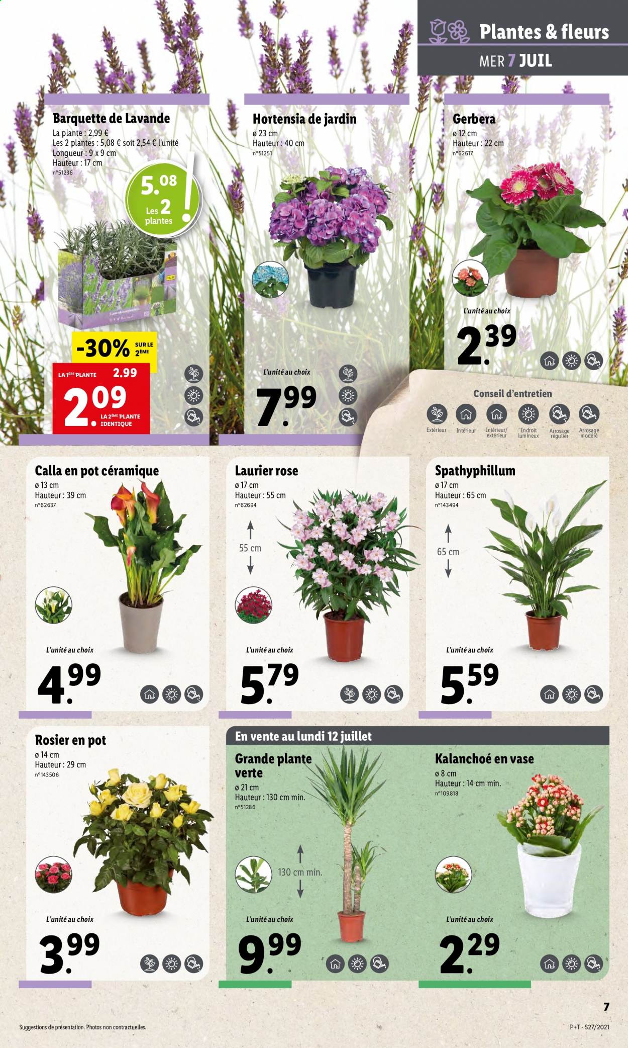 Catalogue Lidl - 07/07/2021 - 13/07/2021. Page 9