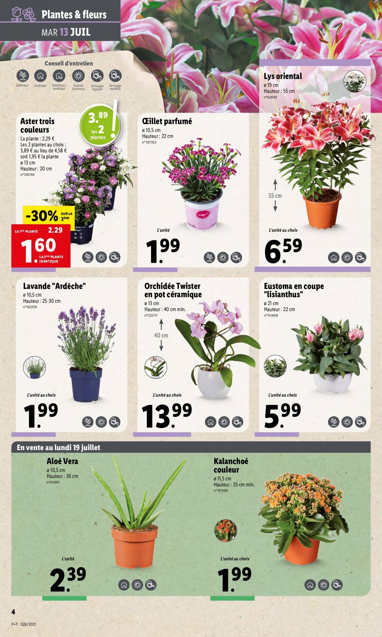Catalogue Lidl - 13/07/2021 - 20/07/2021. Page 5