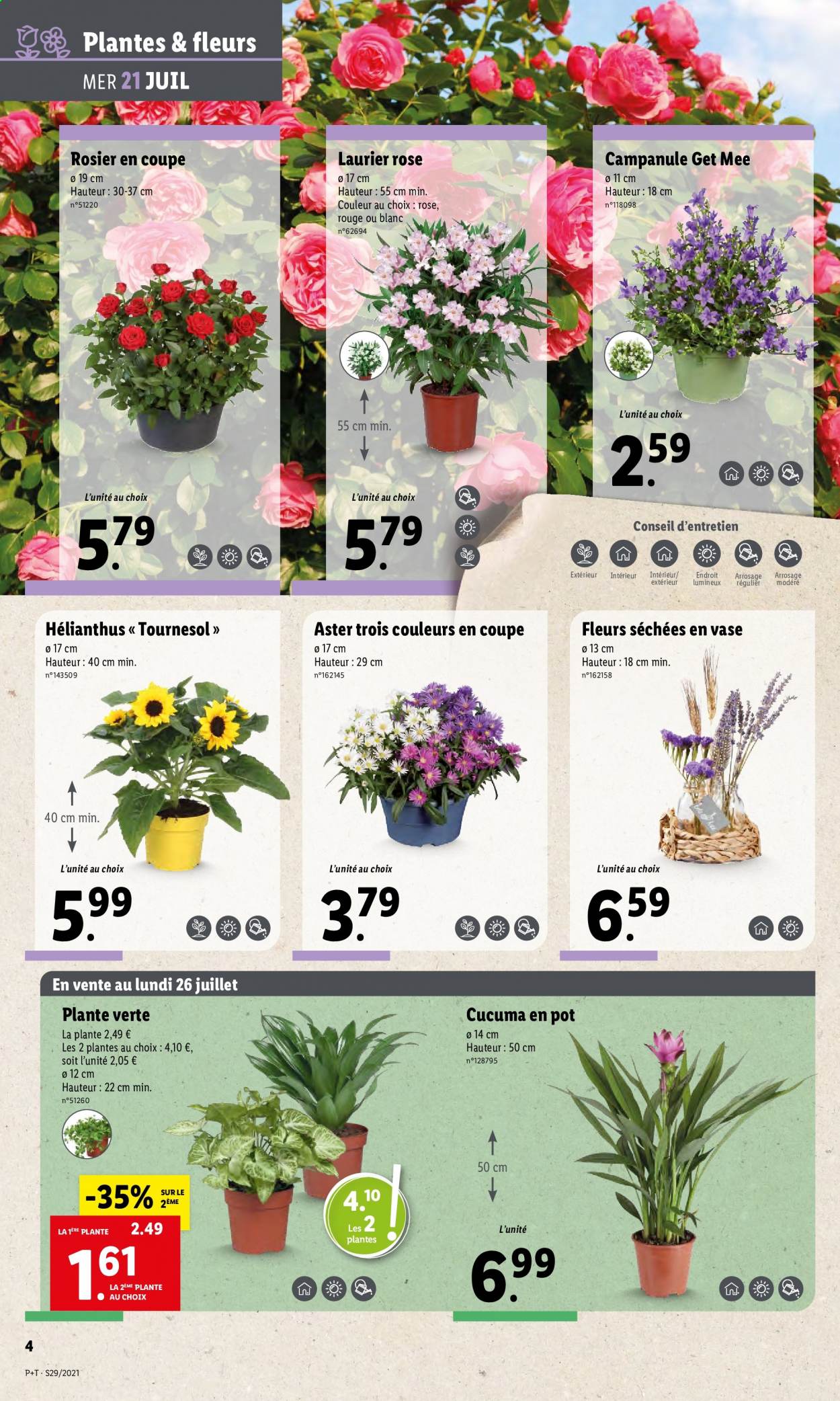 thumbnail - Catalogue Lidl - 21/07/2021 - 27/07/2021 - Produits soldés - fleur, plantes vertes, laurier rose, rosier. Page 4.