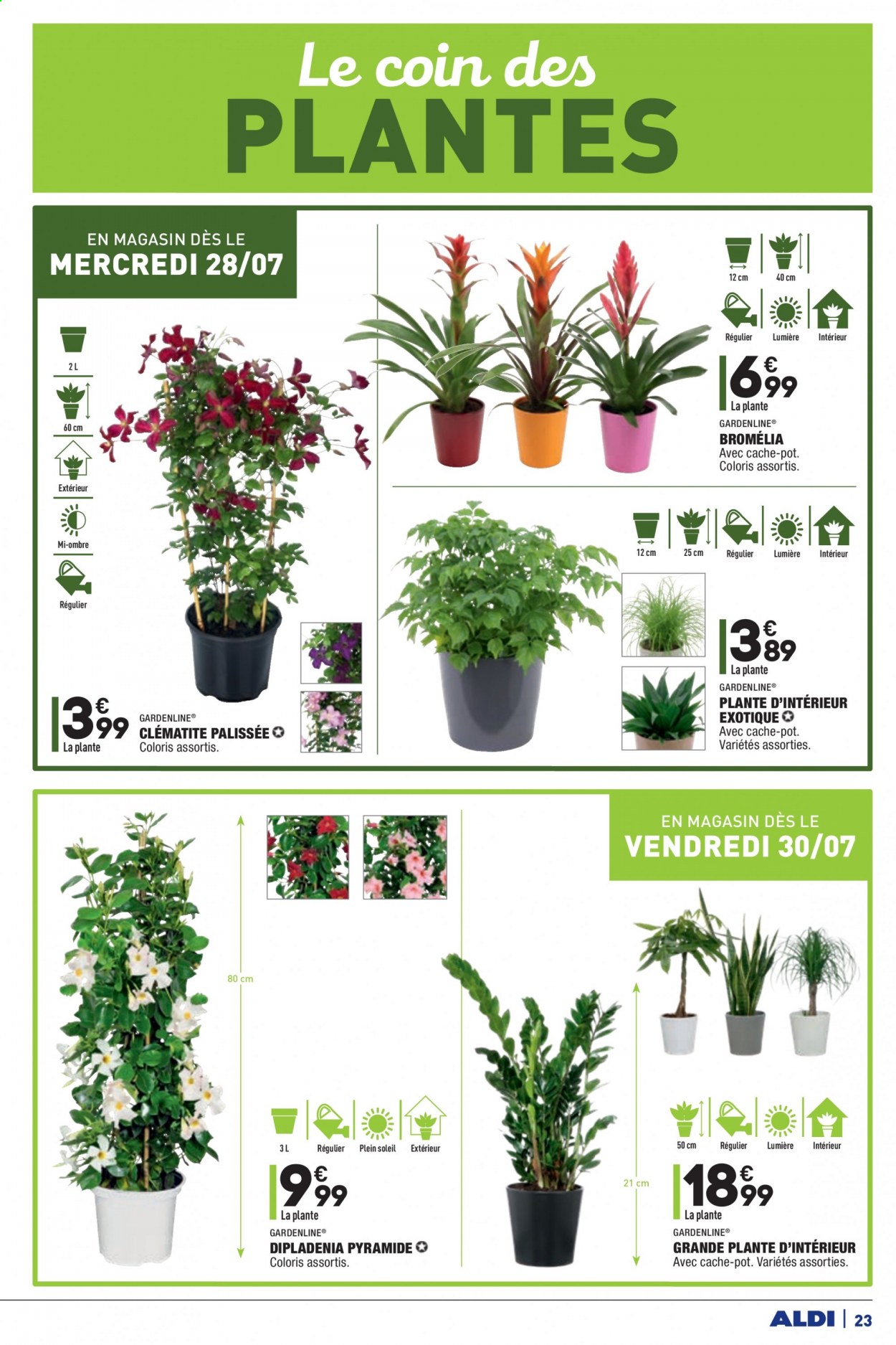 Catalogue ALDI - 27/07/2021 - 02/08/2021. Page 25