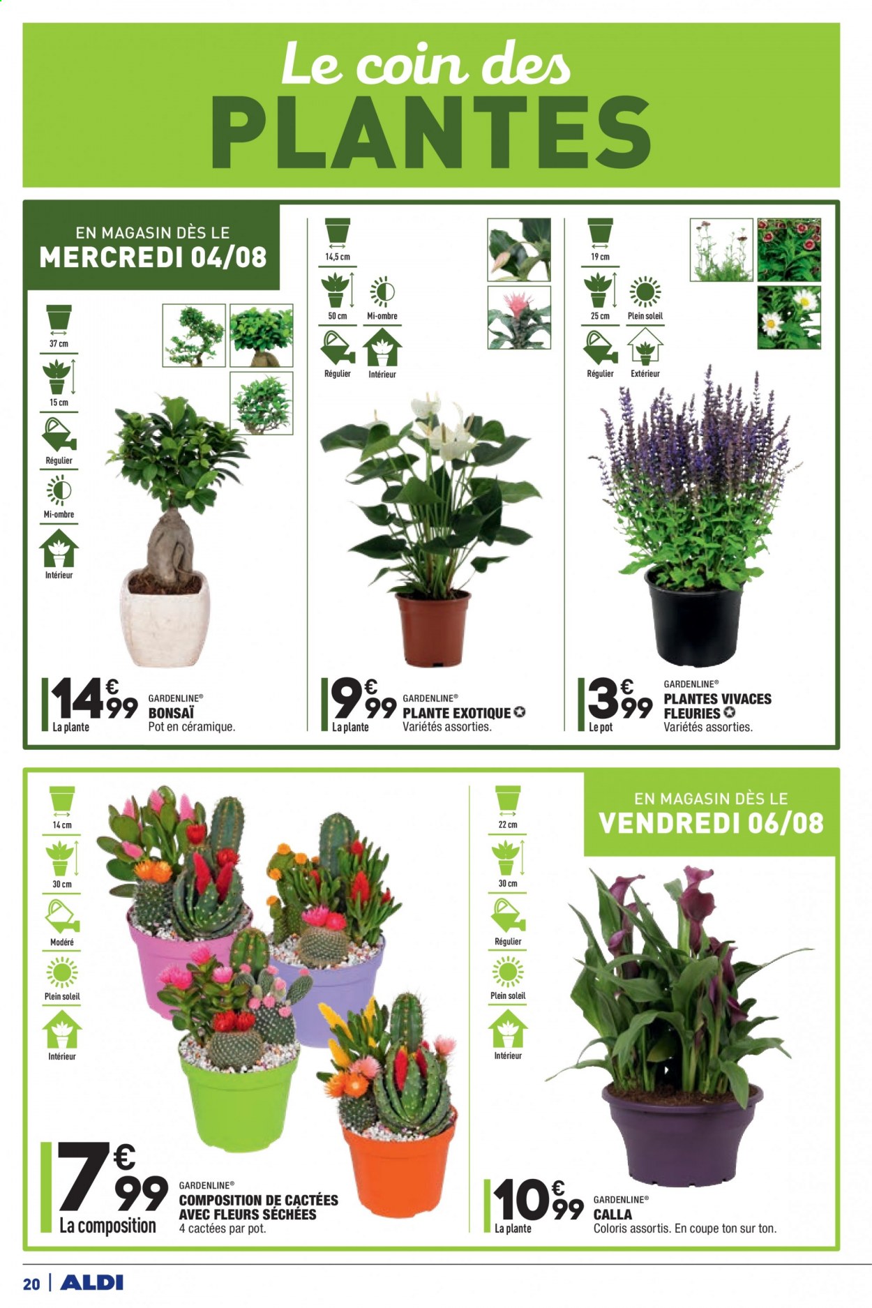 Catalogue ALDI - 03/08/2021 - 09/08/2021. Page 22