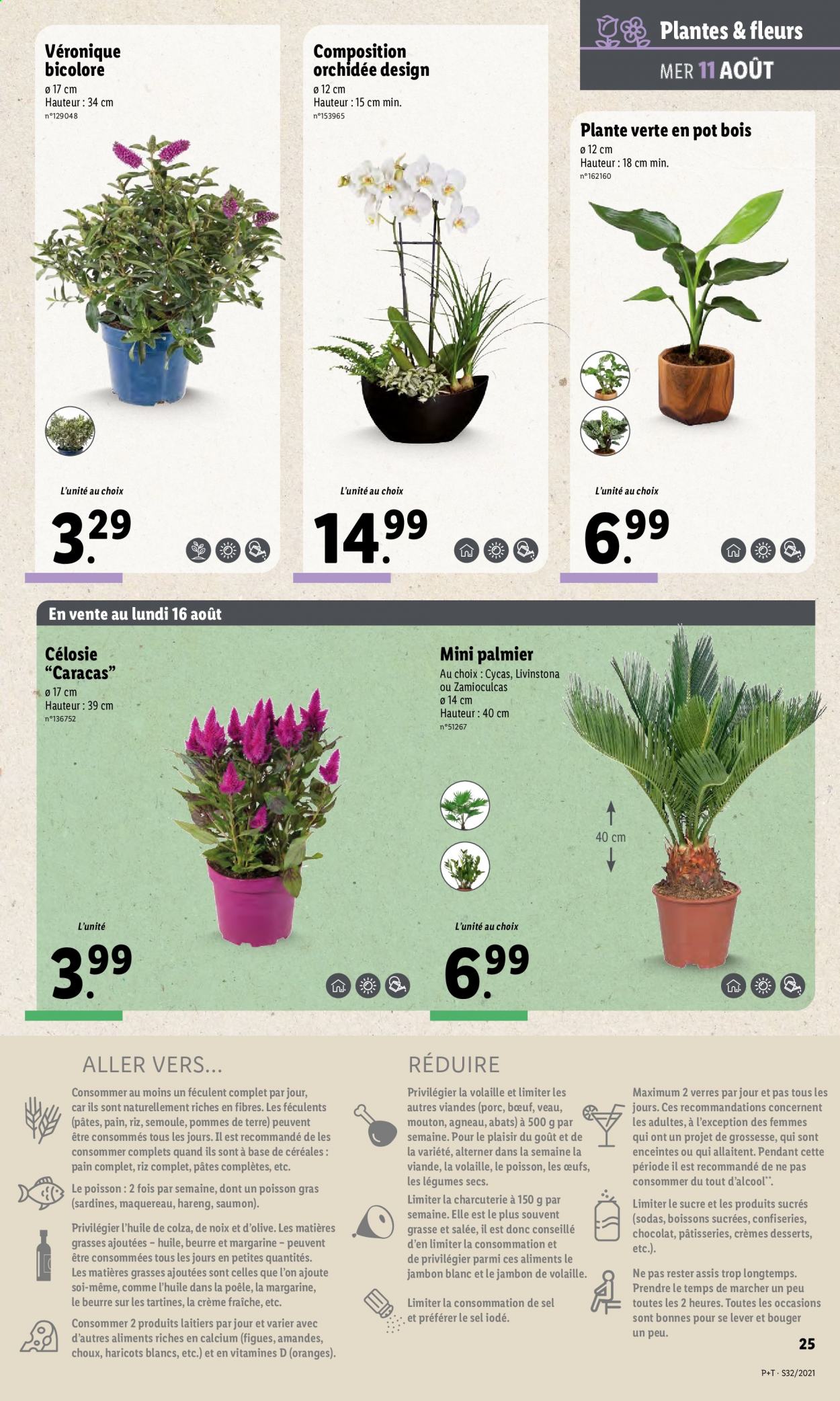 Catalogue Lidl - 11/08/2021 - 17/08/2021. Page 29