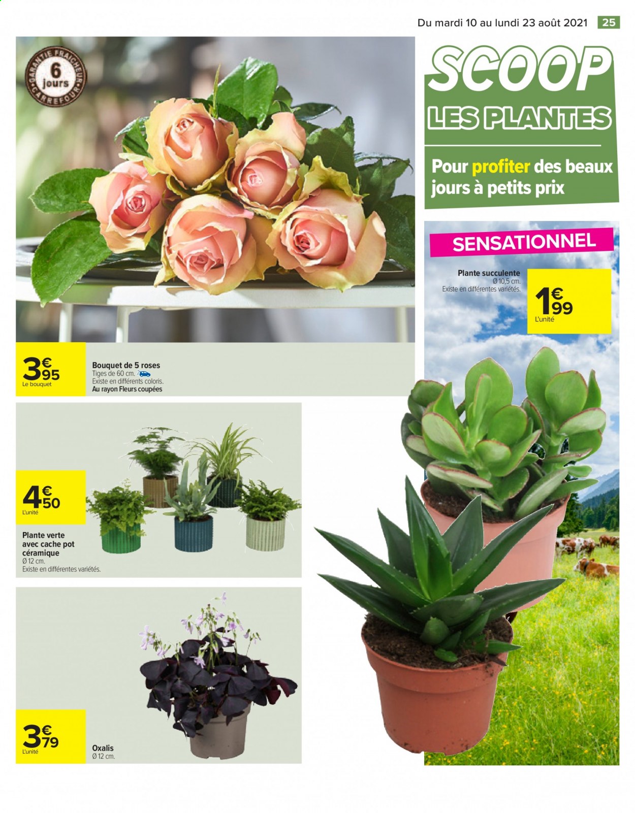 Catalogue Carrefour Hypermarchés - 10/08/2021 - 23/08/2021. Page 25