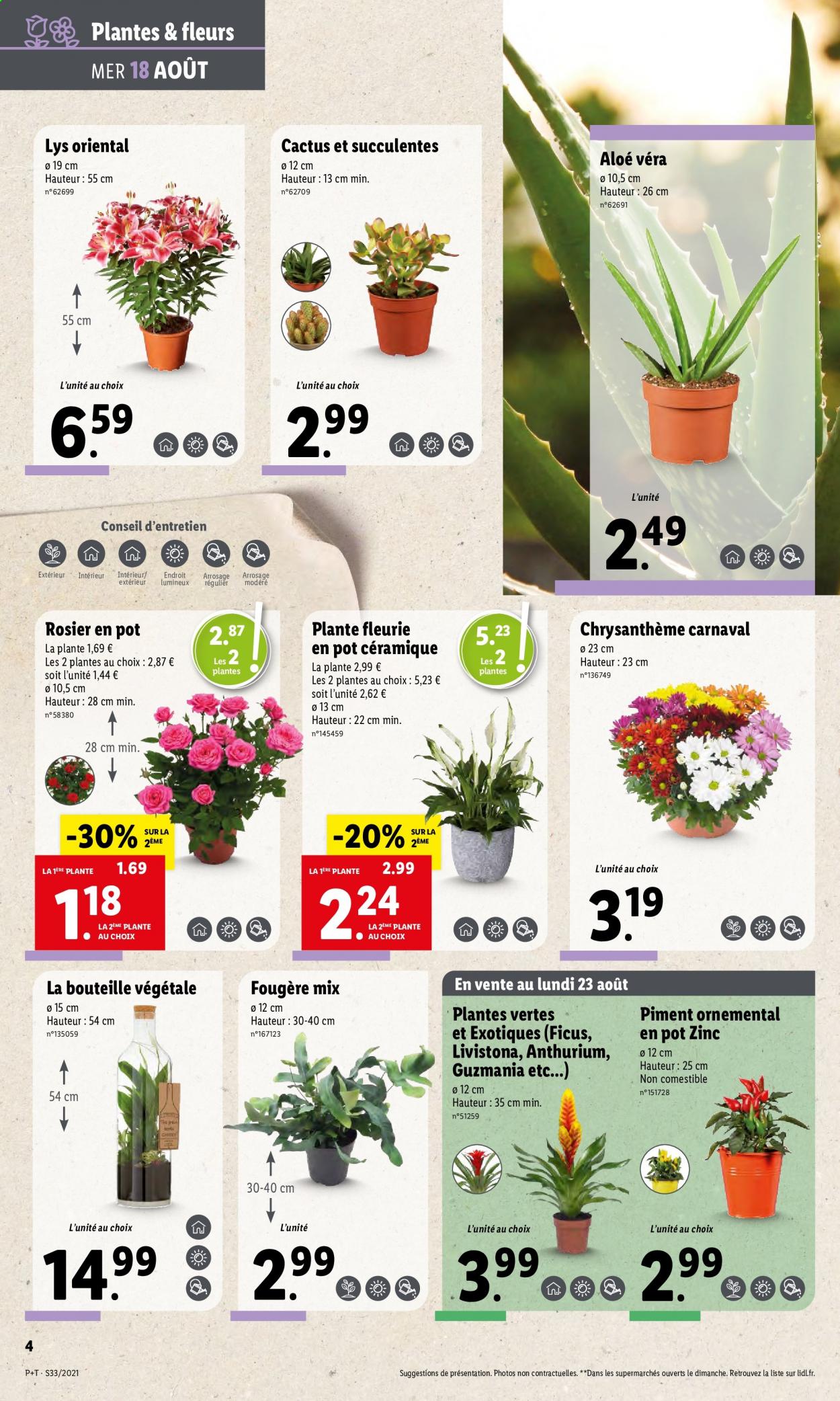 Catalogue Lidl - 18/08/2021 - 24/08/2021. Page 6