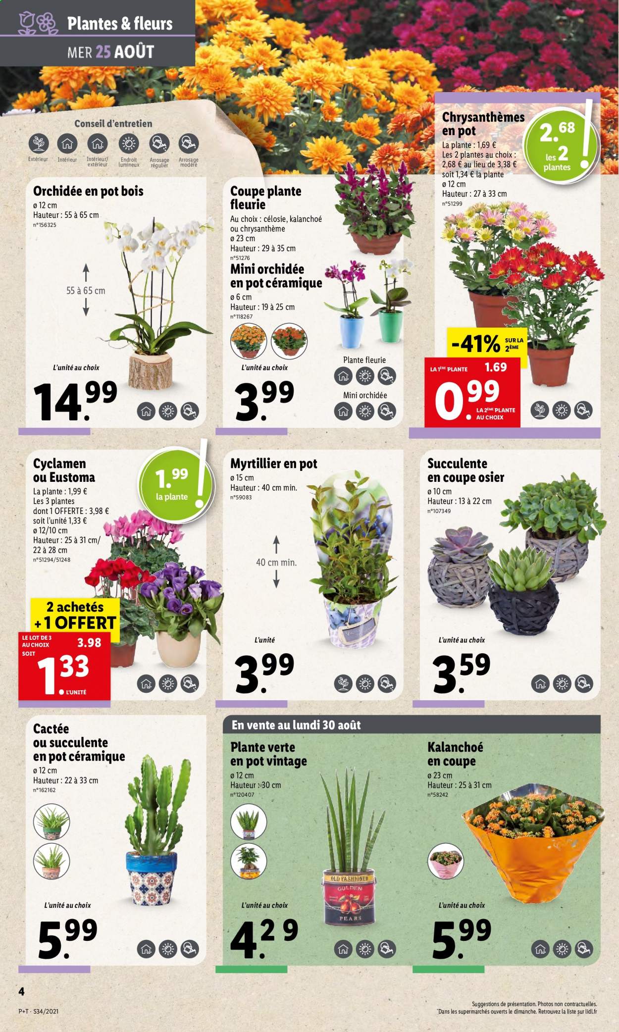 Catalogue Lidl - 25/08/2021 - 31/08/2021. Page 6