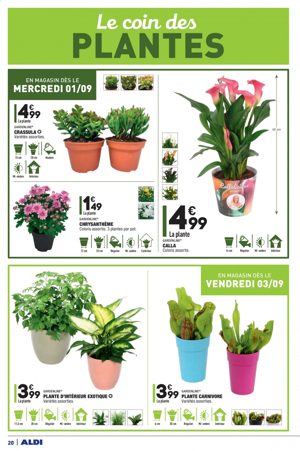 Catalogue ALDI - 31/08/2021 - 04/09/2021. Page 22