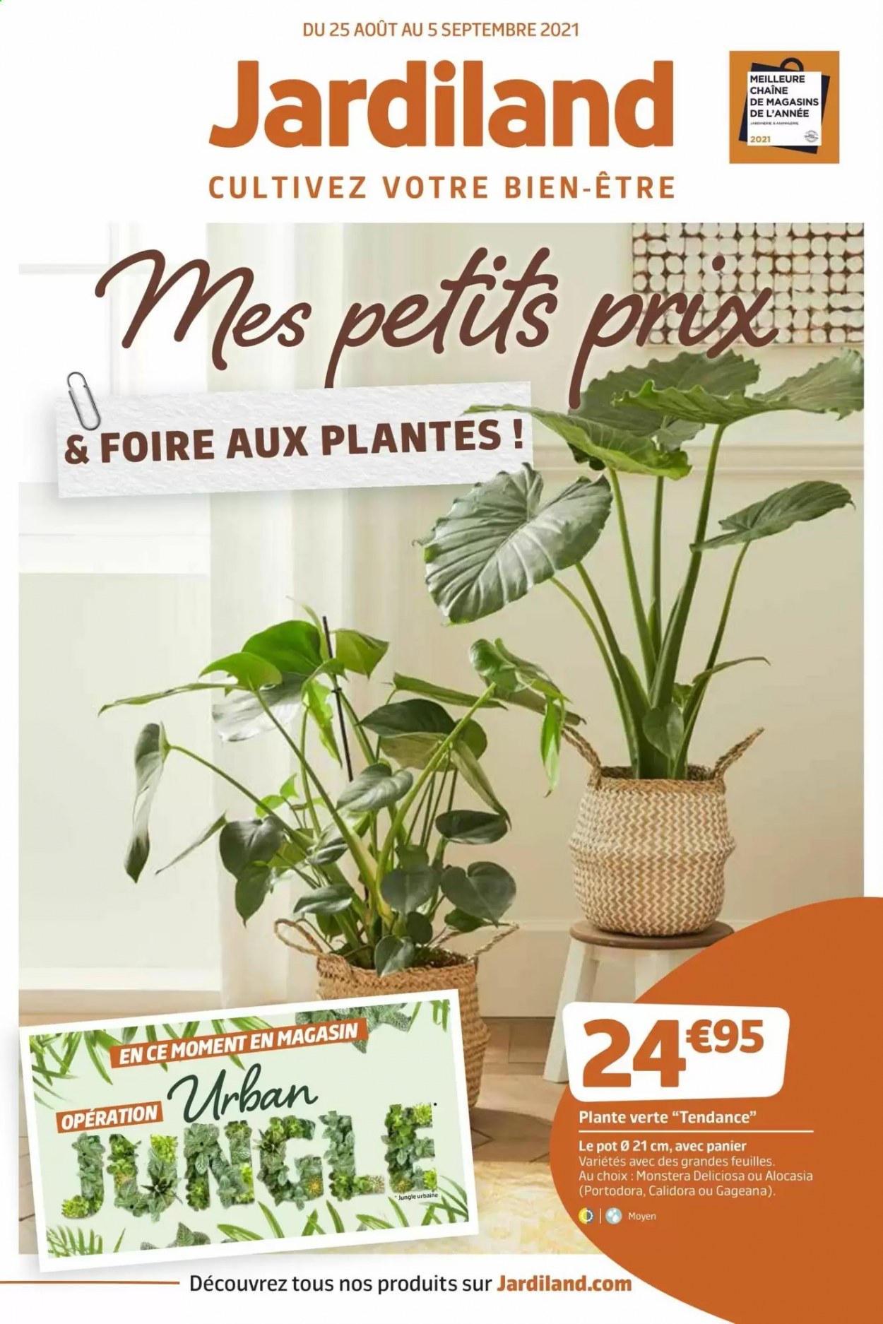 thumbnail - Catalogue Jardiland - 25/08/2021 - 05/09/2021 - Produits soldés - plantes vertes. Page 1.