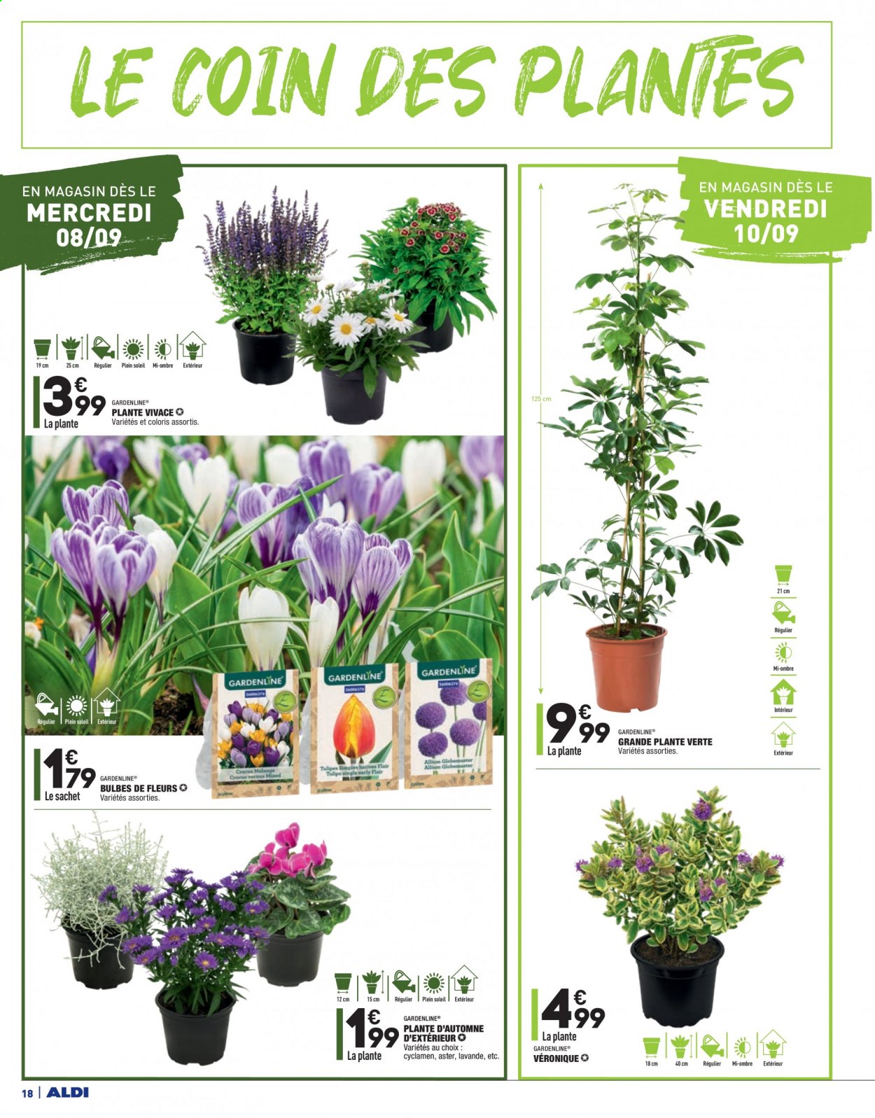 Catalogue ALDI - 07/09/2021 - 13/09/2021. Page 20