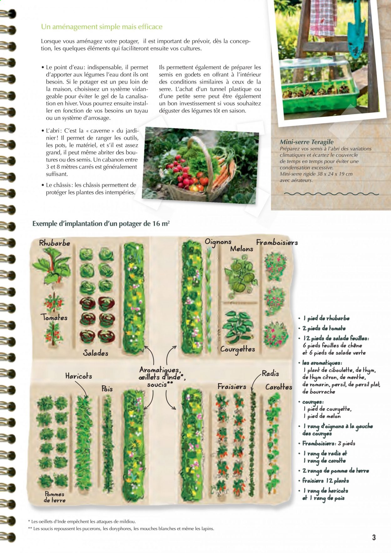 thumbnail - Catalogue Magasin Vert.