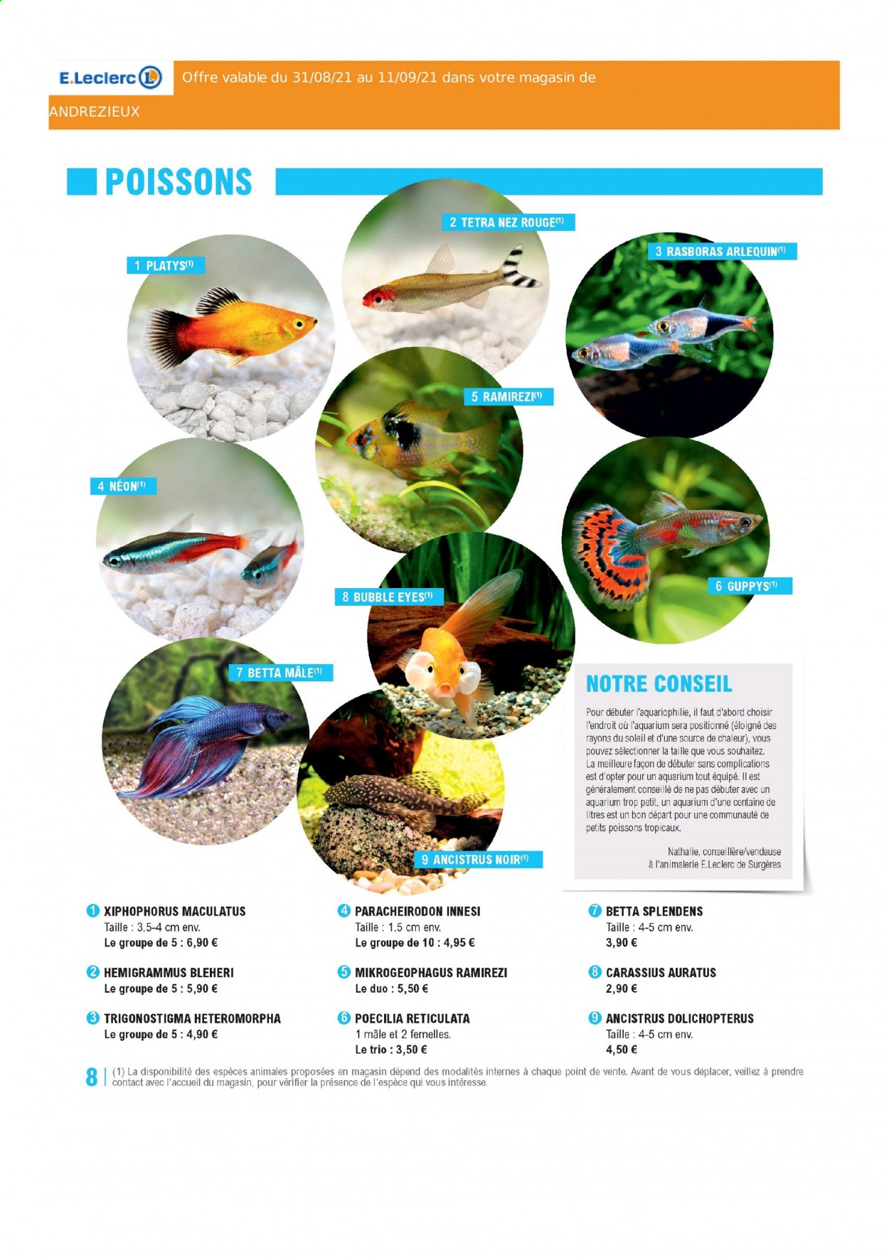 Catalogue E.Leclerc - 31/08/2021 - 11/09/2021. Page 8