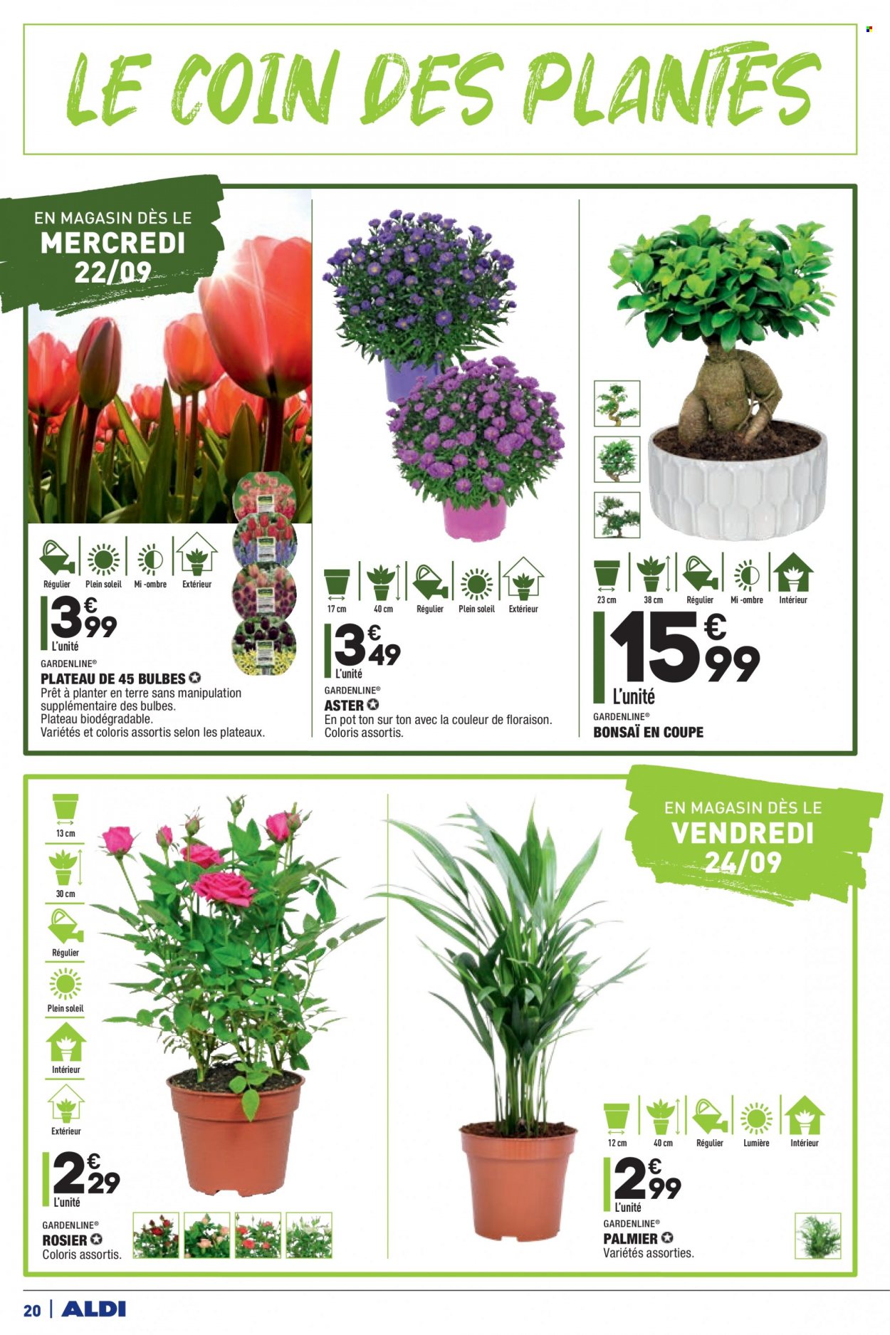 Catalogue ALDI - 21/09/2021 - 27/09/2021. Page 22