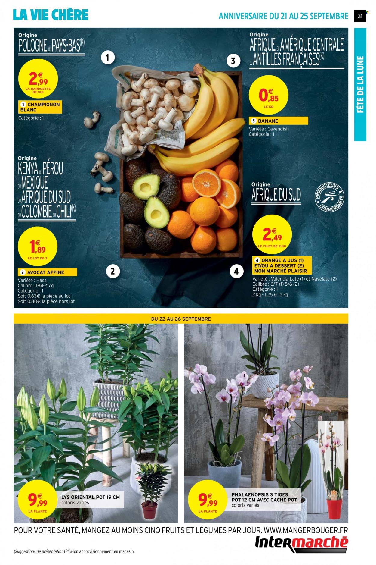 Catalogue Intermarché Super - 21/09/2021 - 26/09/2021. Page 31