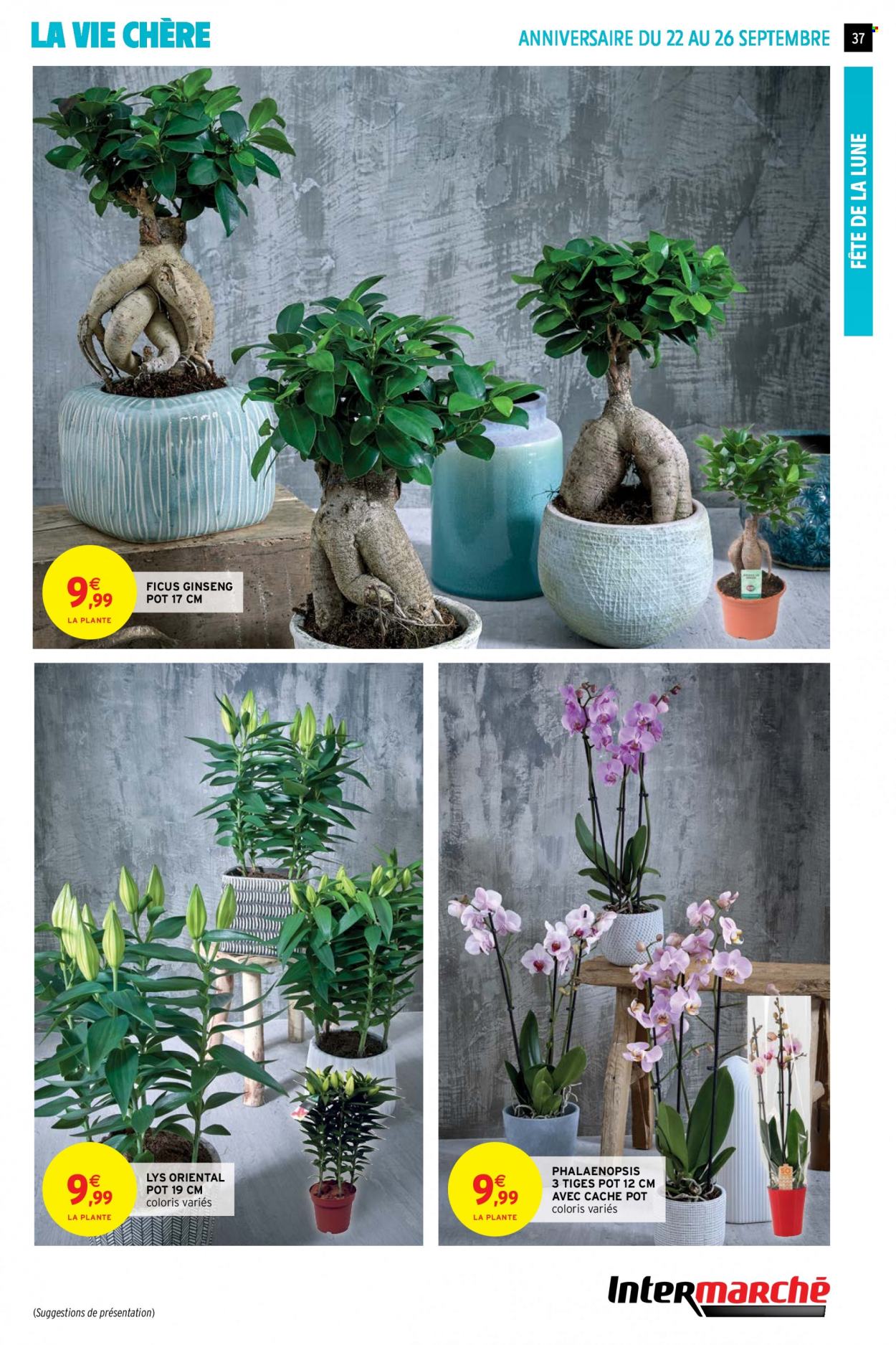 Catalogue Intermarché Hyper - 21/09/2021 - 26/09/2021. Page 37