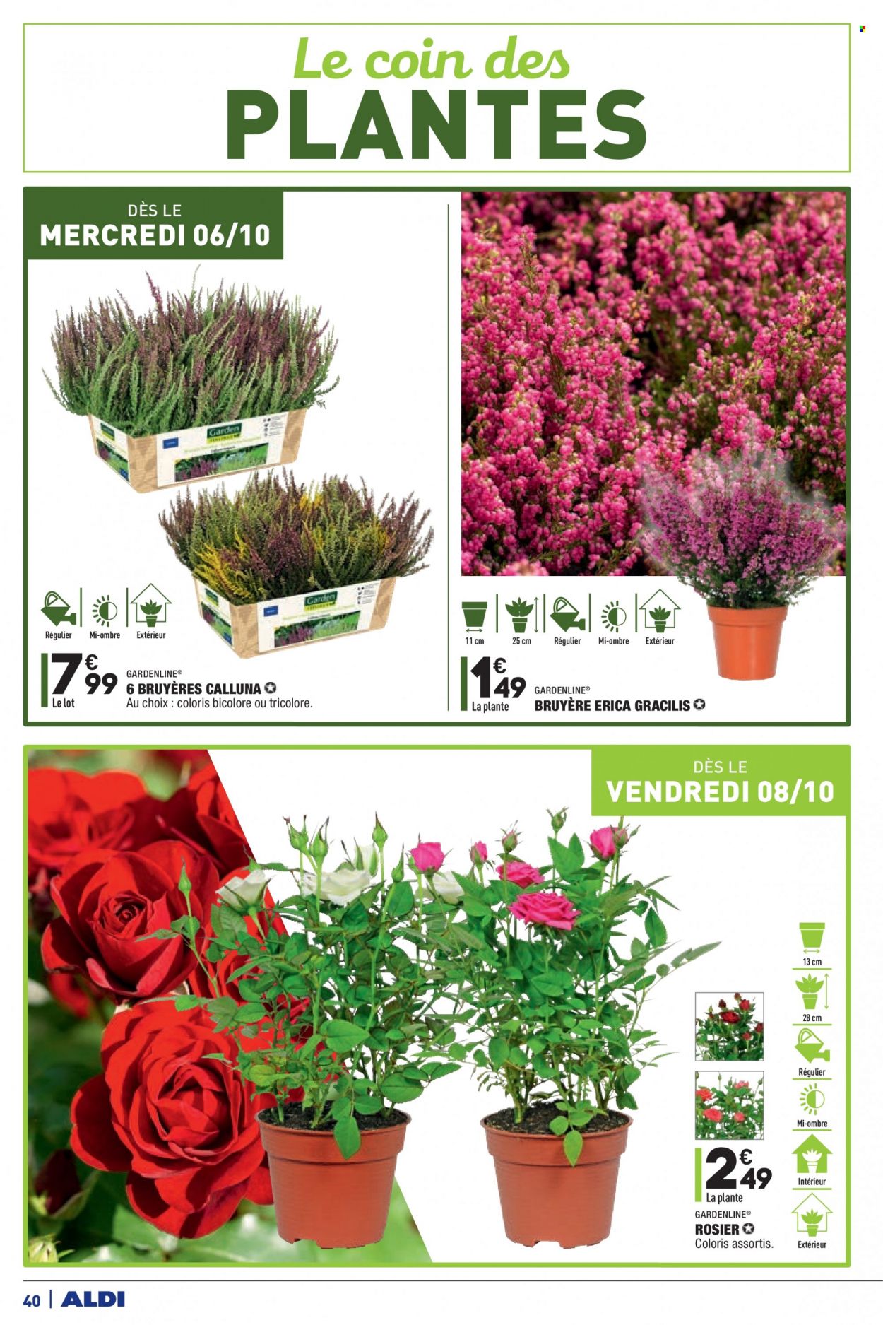 Catalogue ALDI - 05/10/2021 - 11/10/2021. Page 42