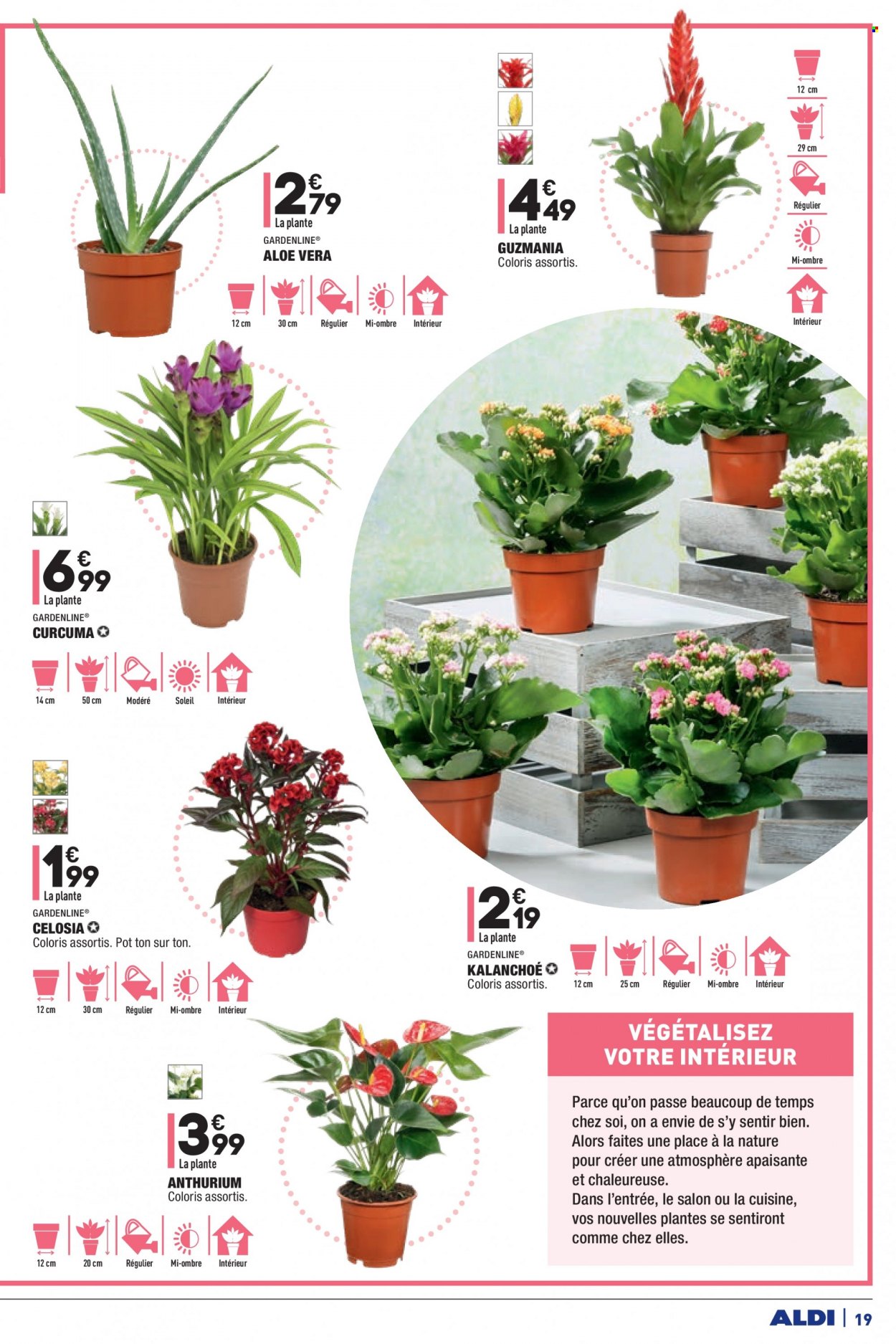 Catalogue ALDI - 12/10/2021 - 18/10/2021. Page 21