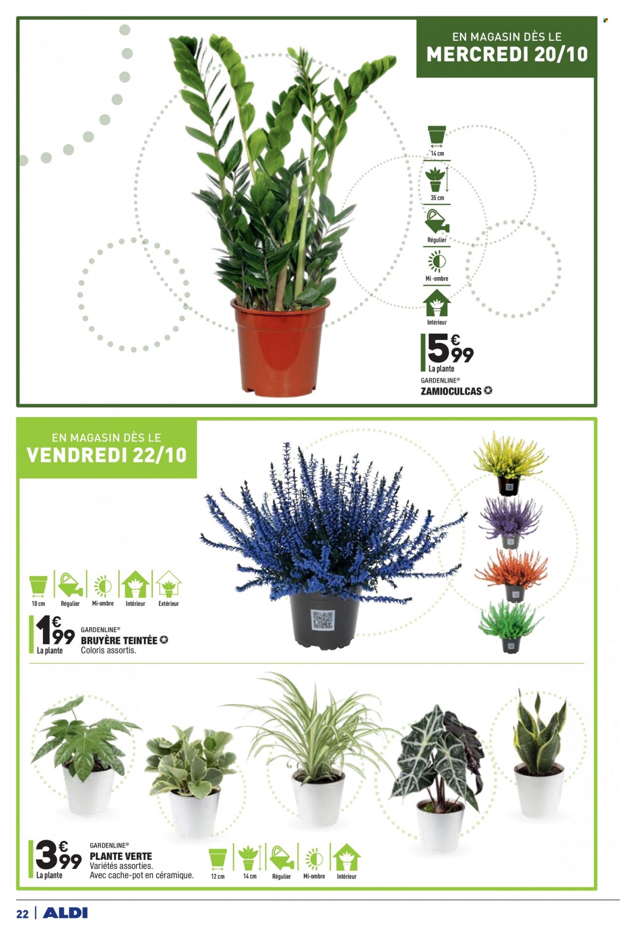 Catalogue ALDI - 19/10/2021 - 25/10/2021. Page 24