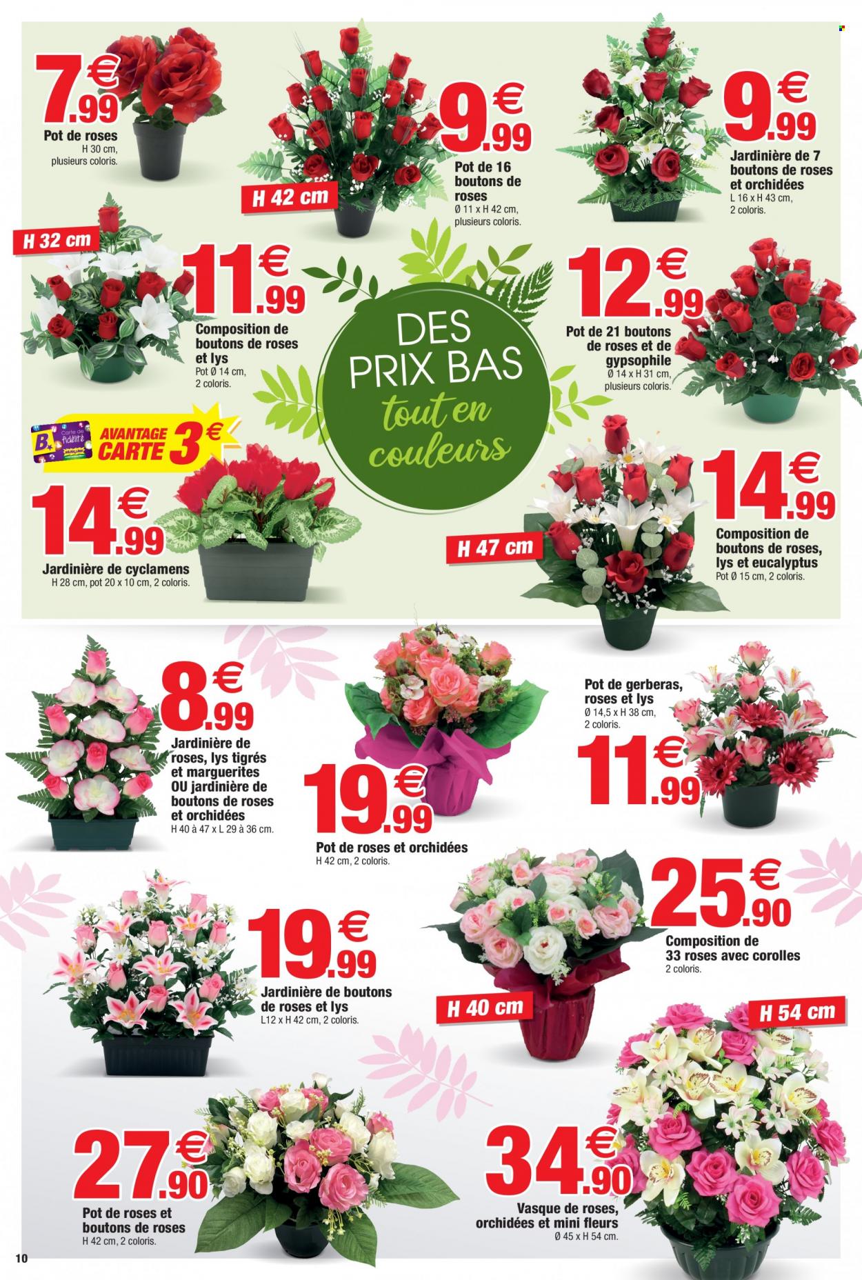 thumbnail - Catalogue Bazarland - 13/10/2021 - 31/10/2021 - Produits soldés - fleur, jardinière. Page 10.