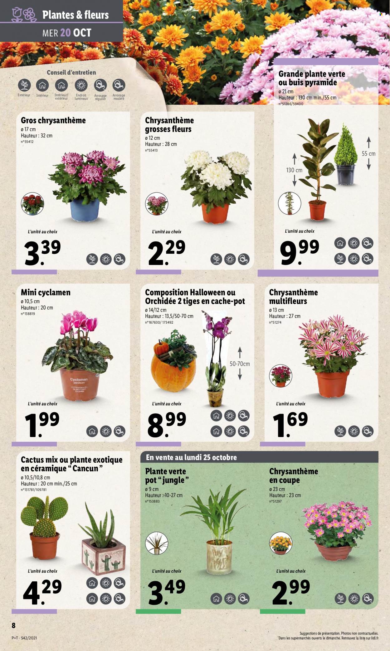 Catalogue Lidl - 20/10/2021 - 26/10/2021. Page 10