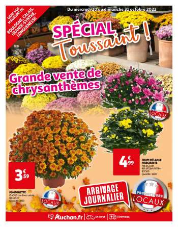 Catalogue Auchan - 20/10/2021 - 31/10/2021.
