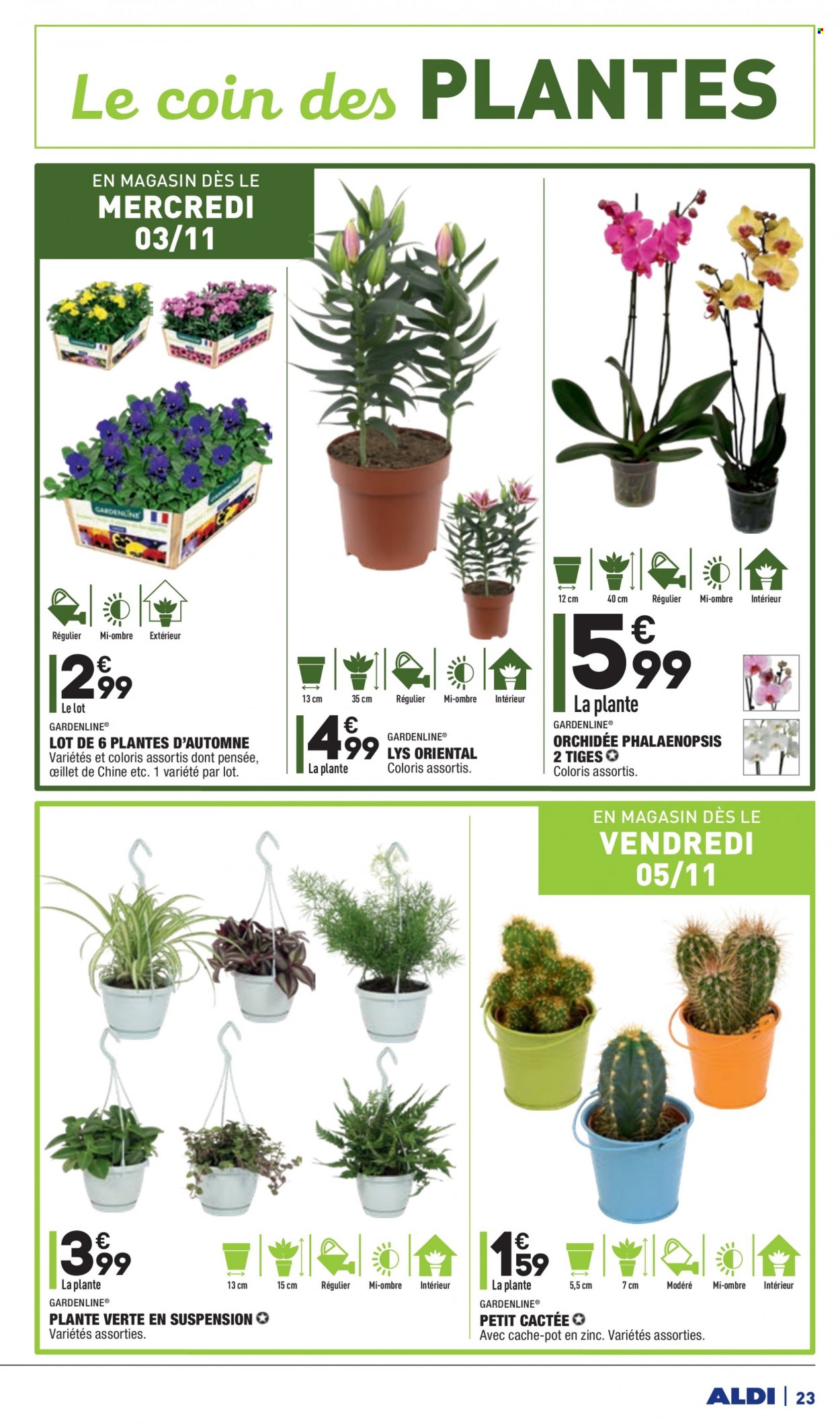 Catalogue ALDI - 02/11/2021 - 08/11/2021. Page 25