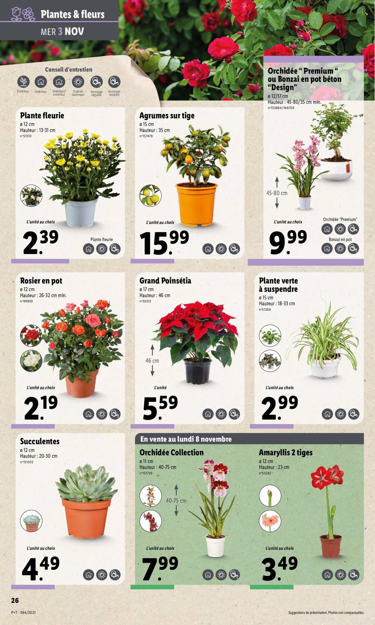 Catalogue Lidl - 03/11/2021 - 09/11/2021. Page 30