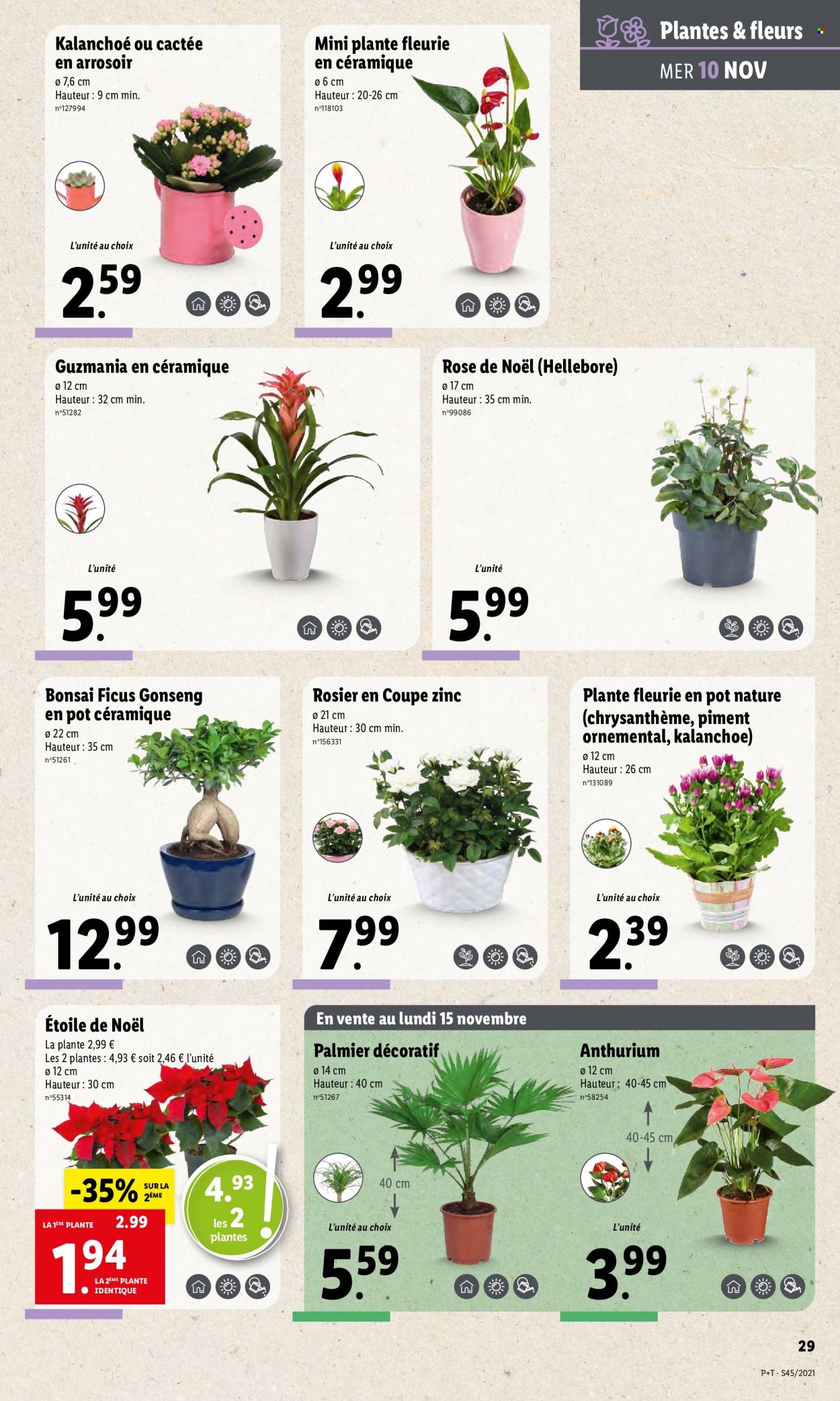 Catalogue Lidl - 10/11/2021 - 16/11/2021. Page 31