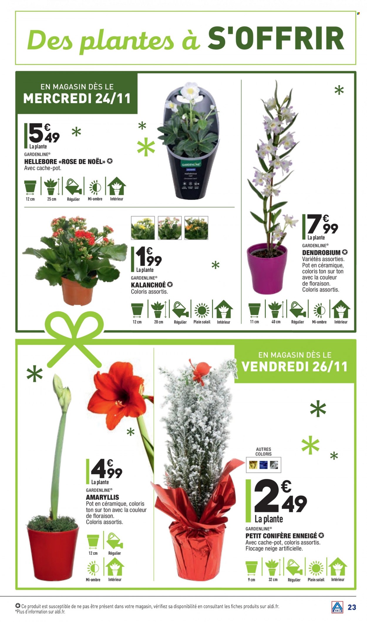 Catalogue ALDI - 23/11/2021 - 29/11/2021. Page 25
