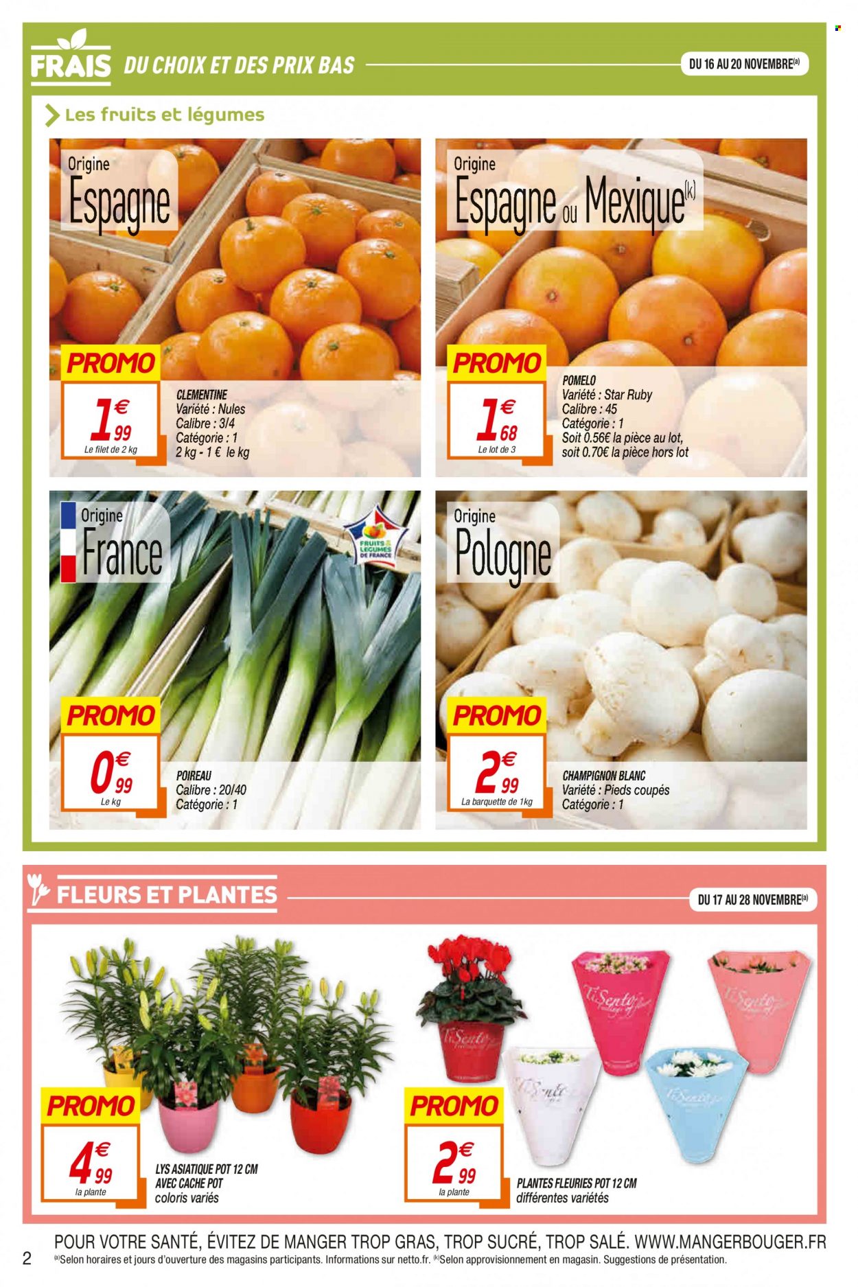 thumbnail - Catalogue Netto - 16/11/2021 - 28/11/2021 - Produits soldés - clémentines, pomelo, poireau, champignon, fleur, lys asiatique, plante fleurie. Page 2.