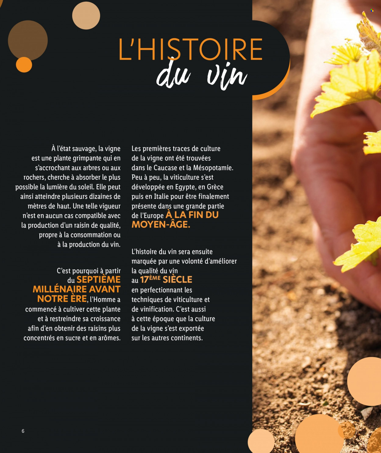 Catalogue Lidl. Page 6