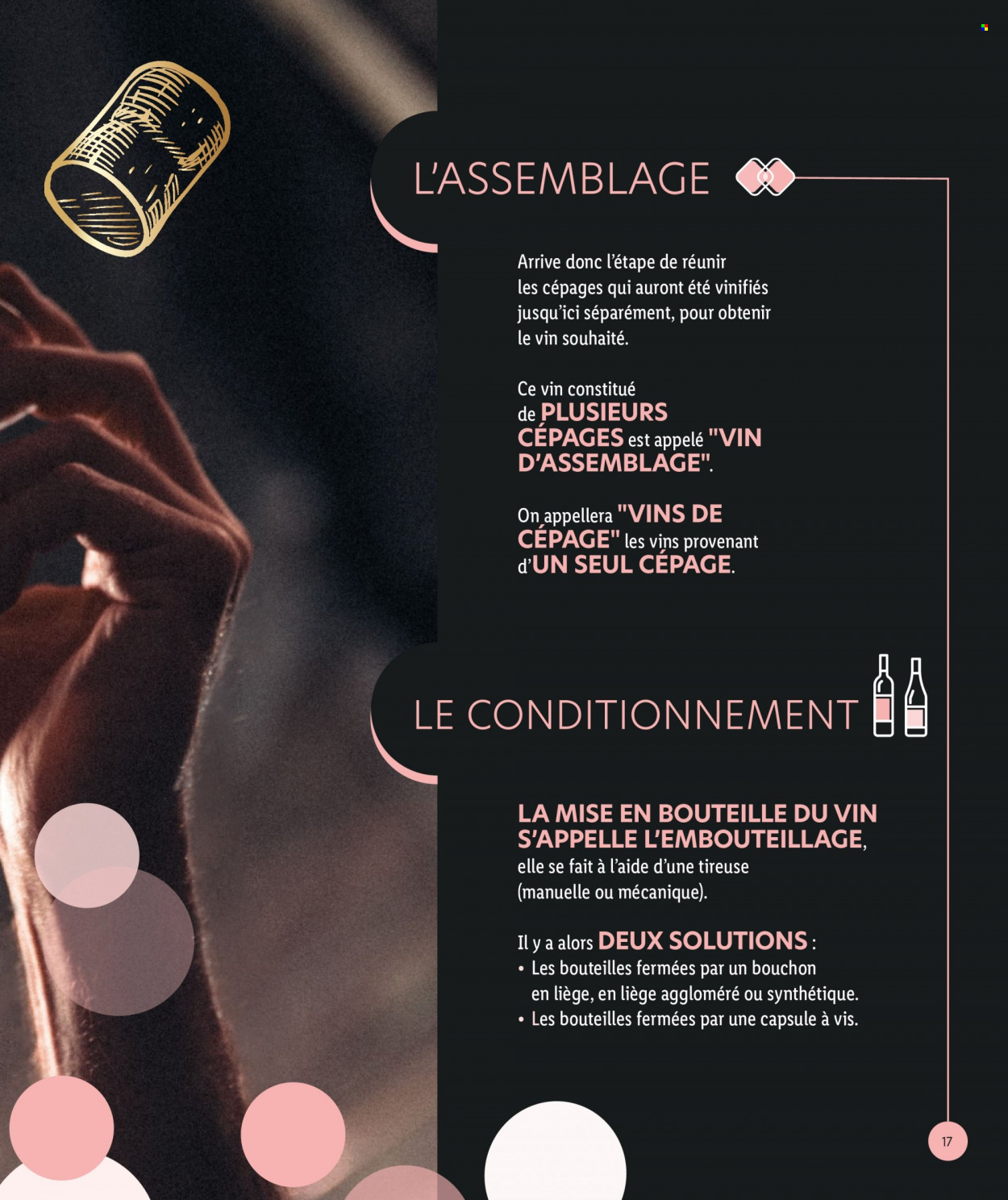 Catalogue Lidl. Page 17