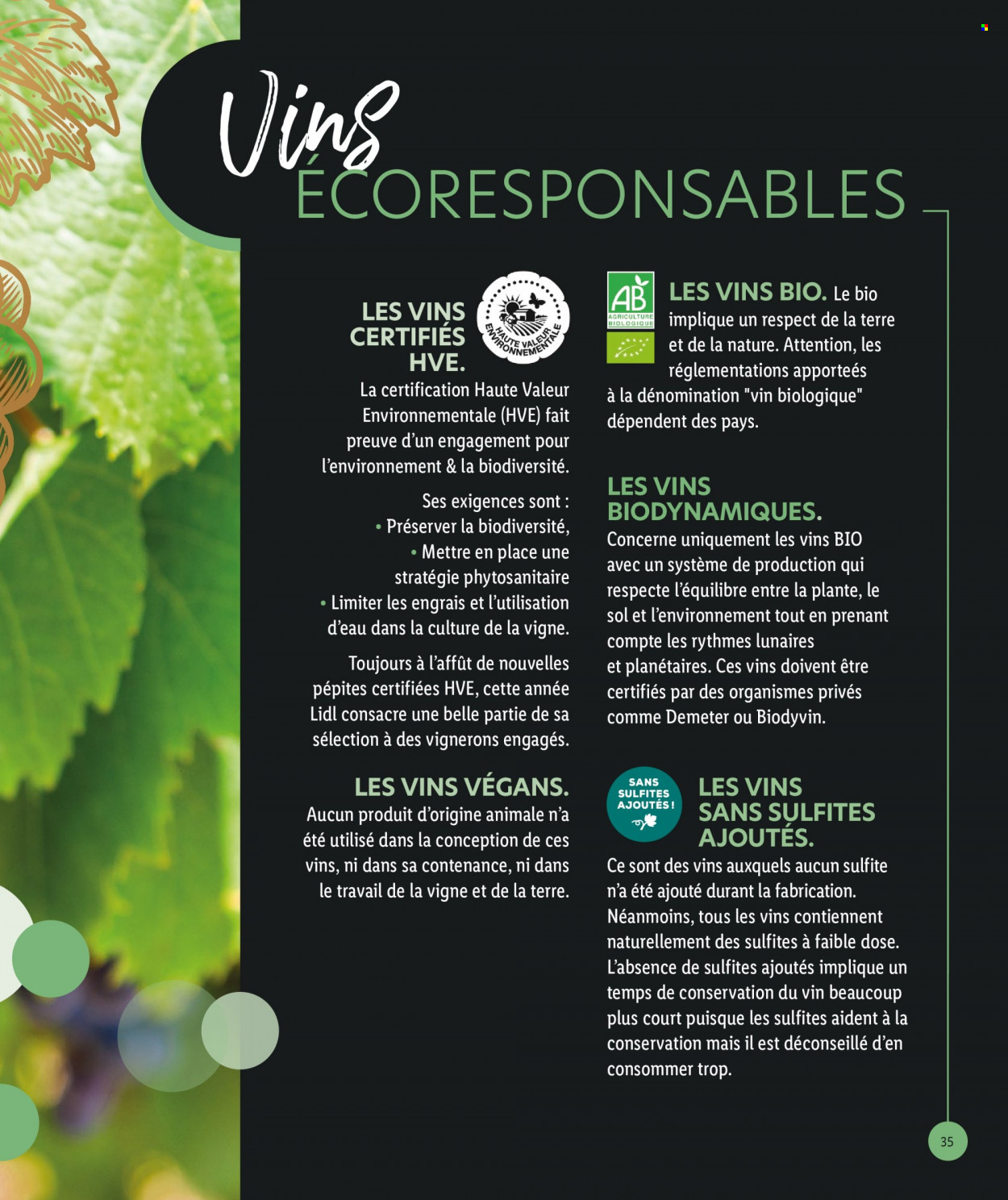 Catalogue Lidl. Page 35