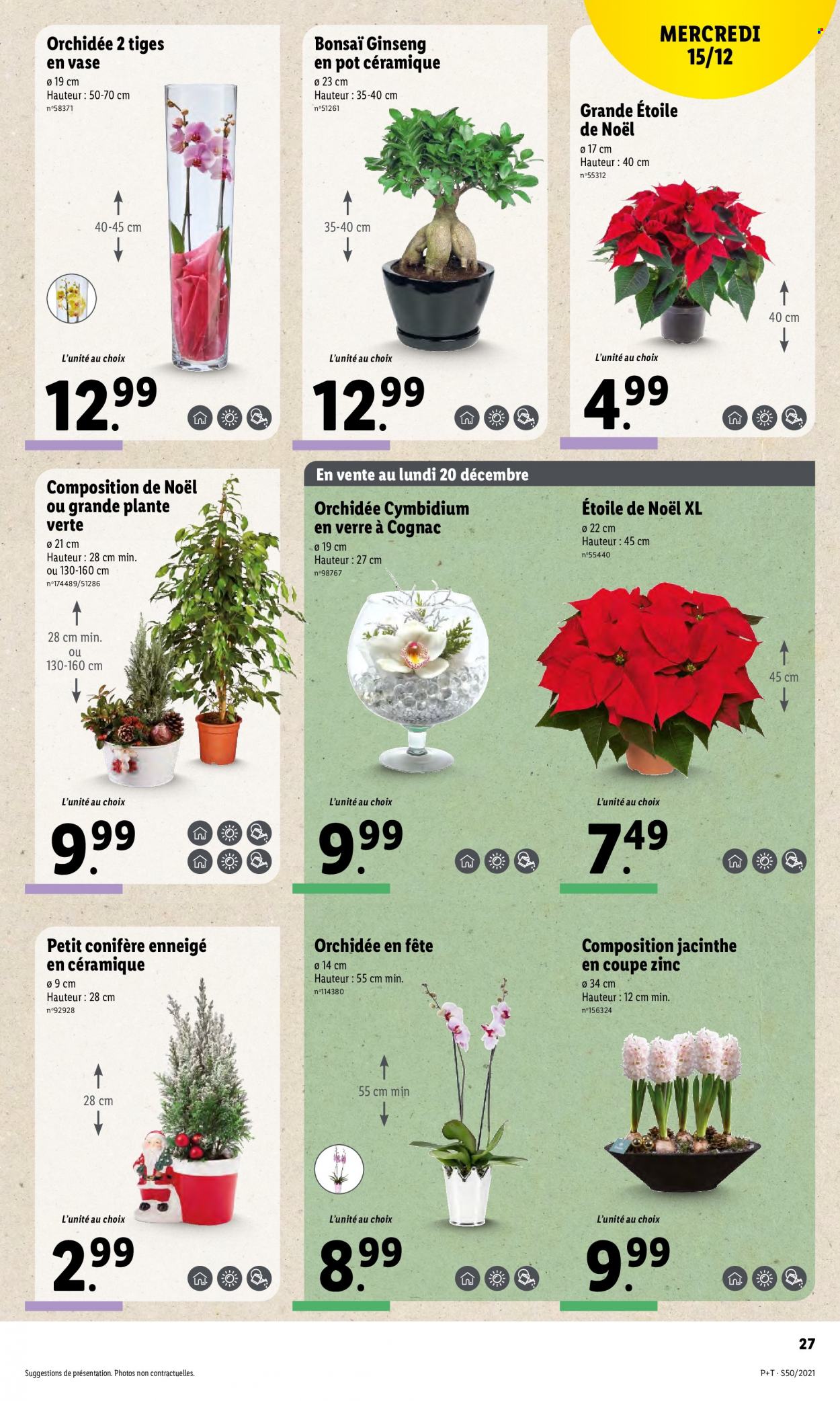 Catalogue Lidl - 15/12/2021 - 21/12/2021. Page 29