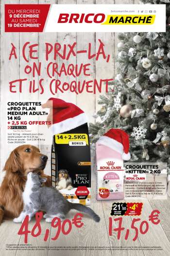 Catalogue Bricomarché - 09/12/2021 - 19/12/2021.