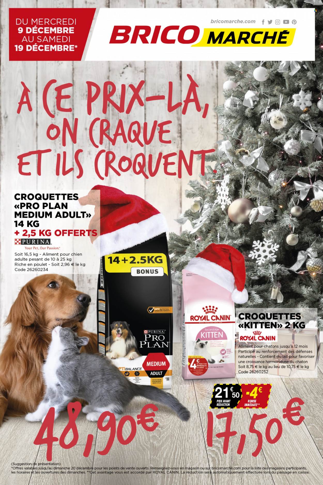 thumbnail - Catalogue Bricomarché - 09/12/2021 - 19/12/2021 - Produits soldés - Purina. Page 1.