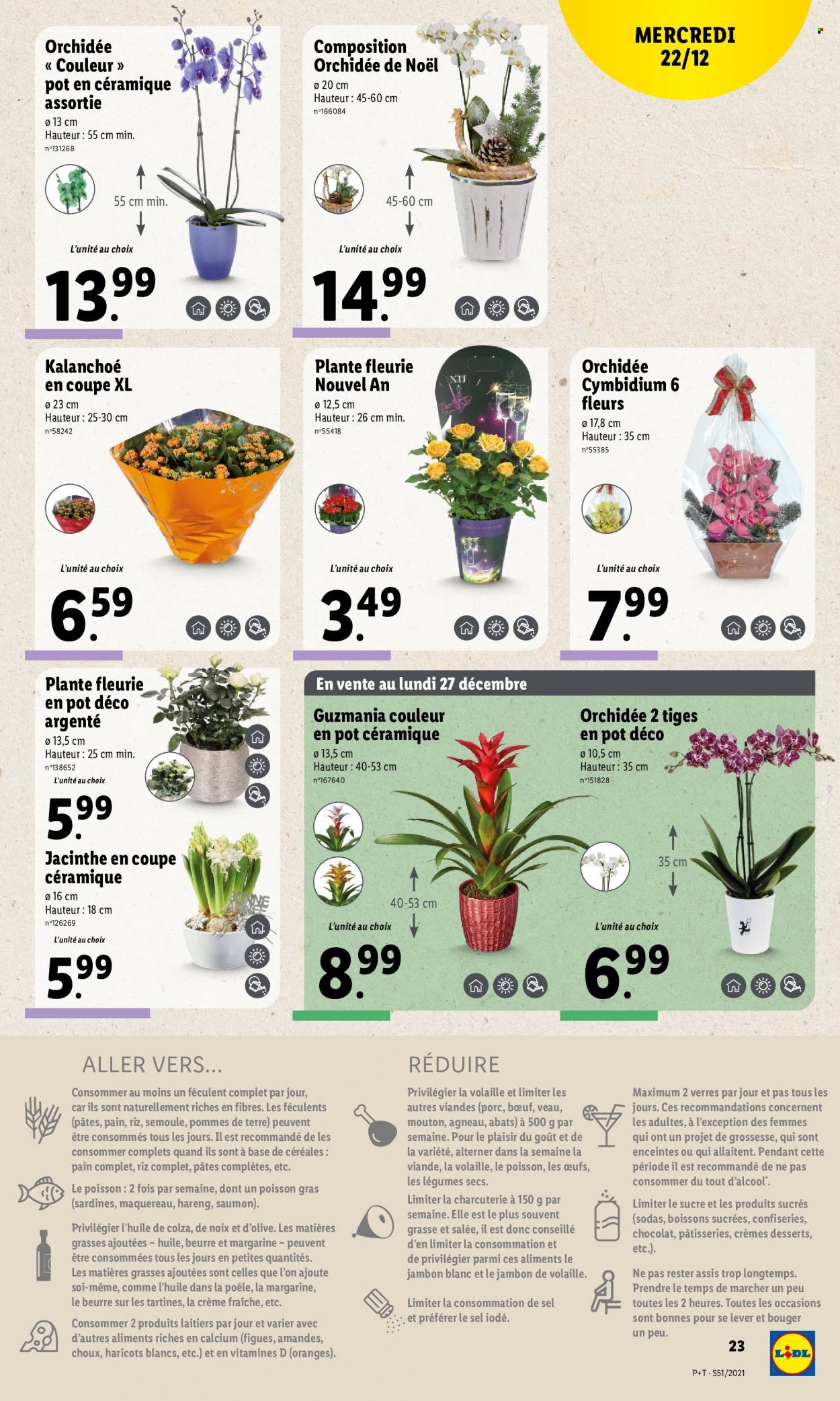 Catalogue Lidl - 22/12/2021 - 28/12/2021. Page 25