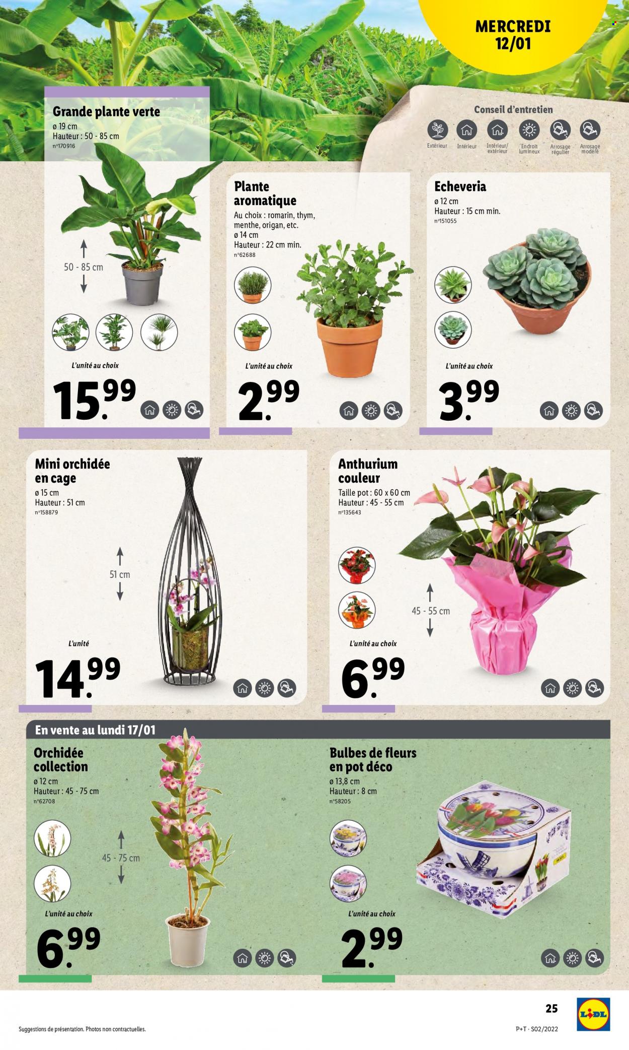 Catalogue Lidl - 12/01/2022 - 18/01/2022. Page 27