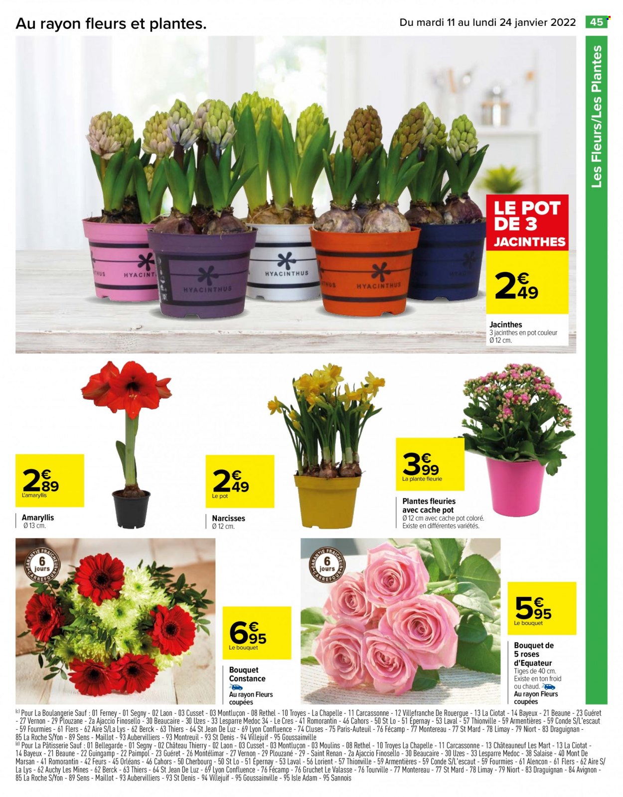 thumbnail - Catalogue Carrefour Hypermarchés - 11/01/2022 - 24/01/2022 - Produits soldés - fleur, jacinthe, amaryllis, plante fleurie. Page 45.