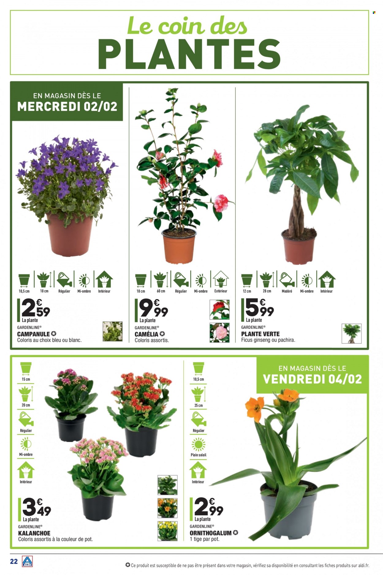 Catalogue ALDI - 01/02/2022 - 07/02/2022. Page 24