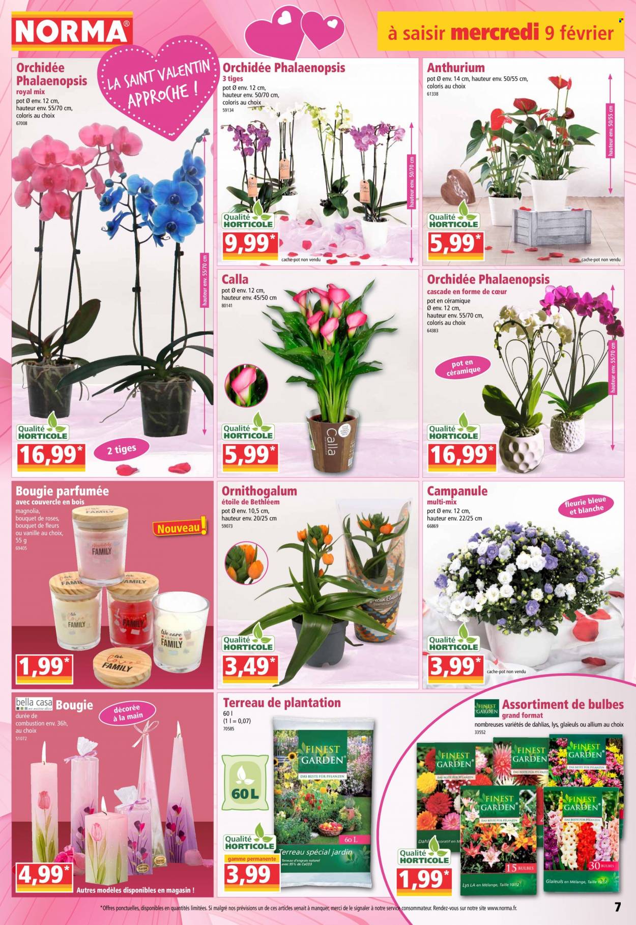 Catalogue Norma - 09/02/2022 - 15/02/2022. Page 7